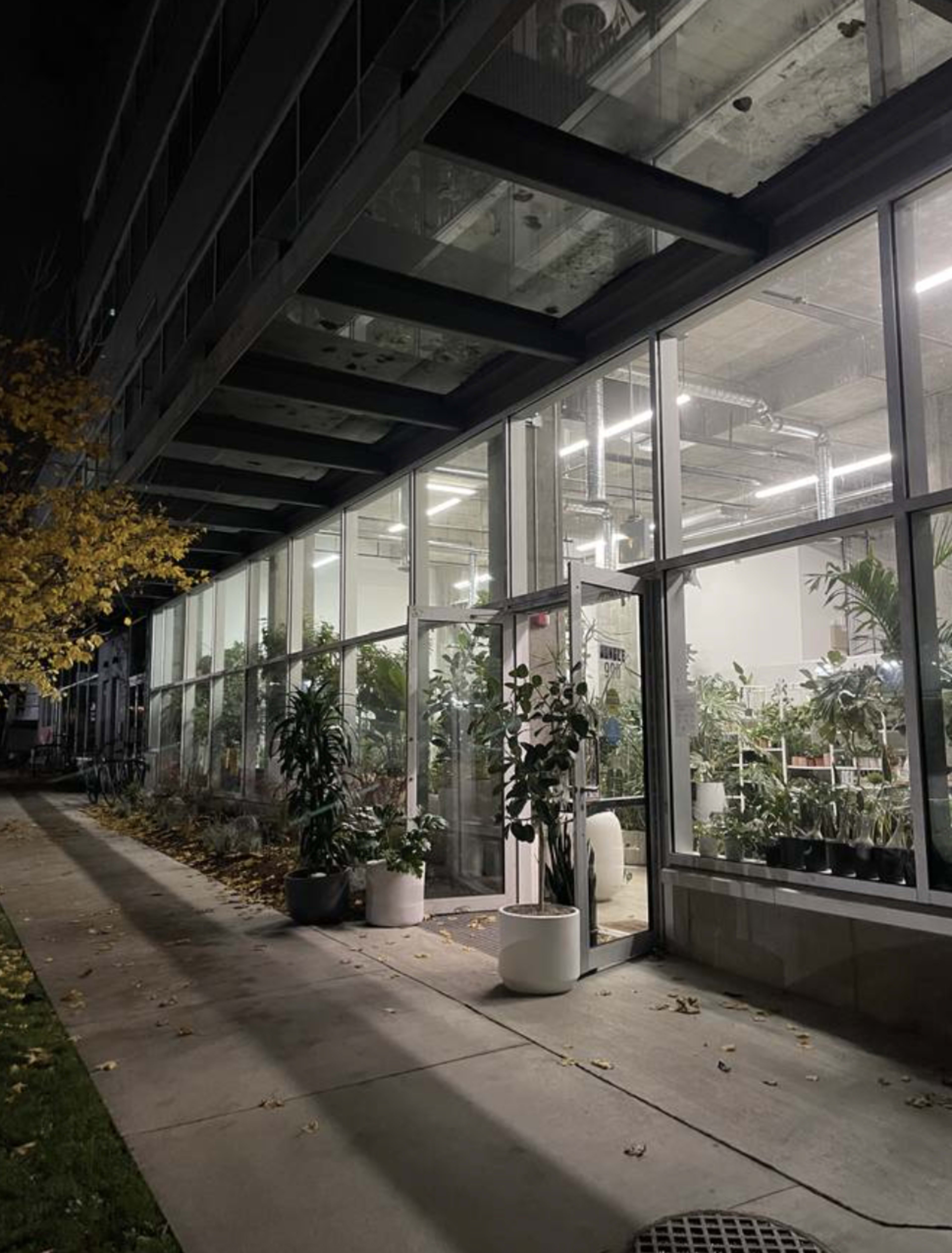 A glass-fronted building at night showcases an interior filled with various plants.