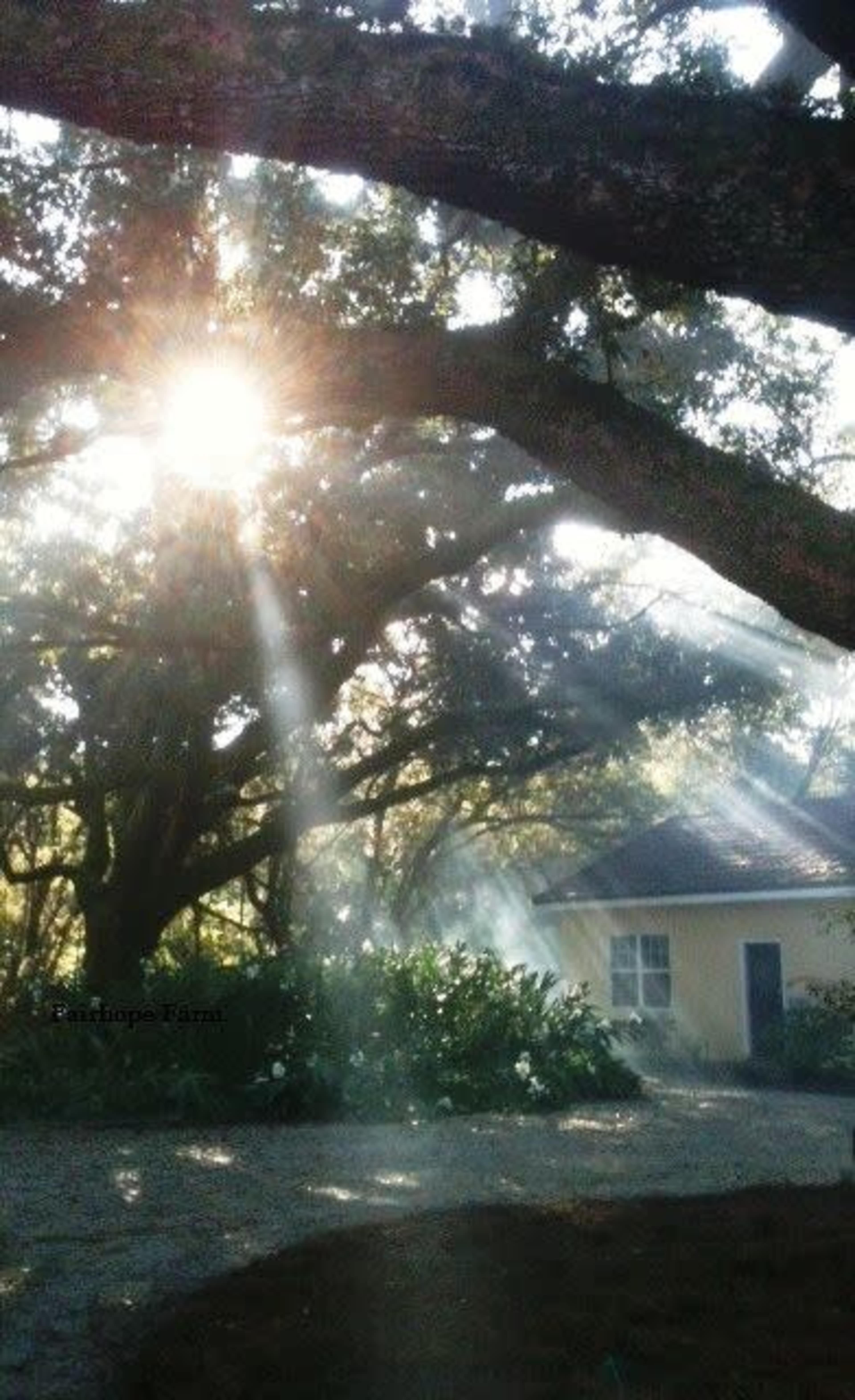 Fairhope Farm Image in , Fairhope, AL
