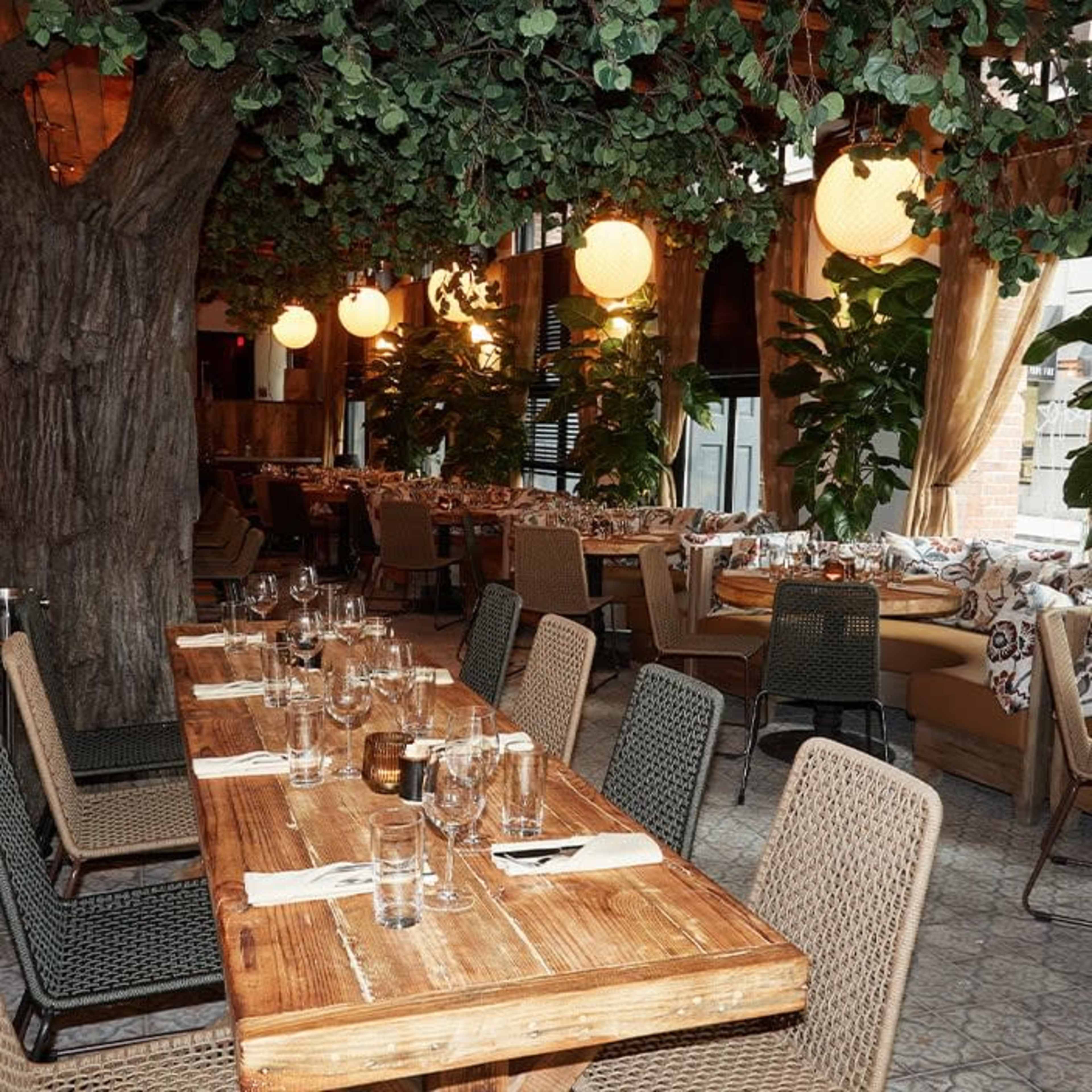 The image shows a restaurant interior featuring a large wooden table surrounded by chairs, with a tree and hanging lanterns overhead, and tables set for dining along the space.
