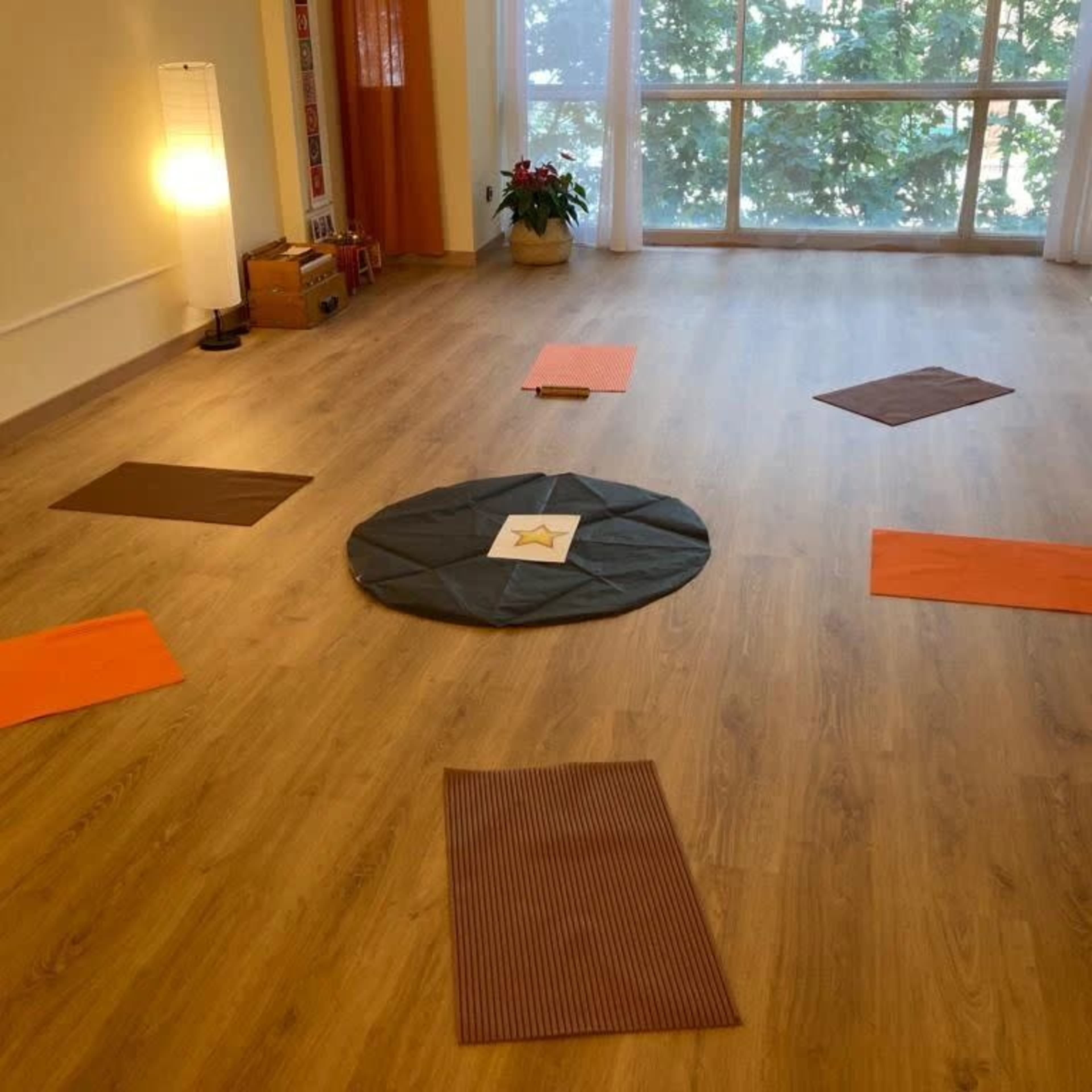 A meditation or yoga studio space with several mats arranged in a circular pattern on a wooden floor, surrounded by ample natural light from large windows.