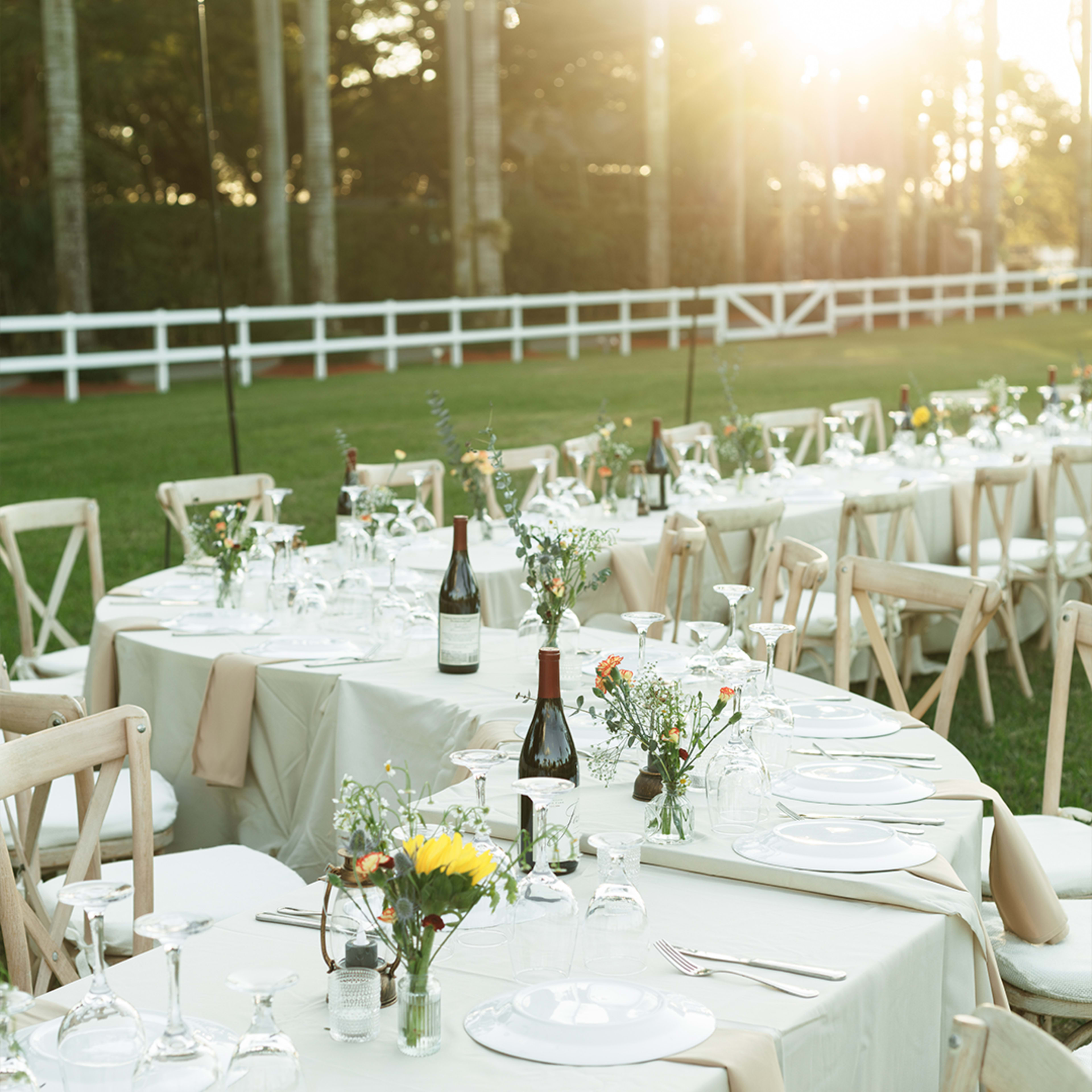 A long outdoor table is set with white linens and glassware, surrounded by lush greenery and bathed in warm sunlight.