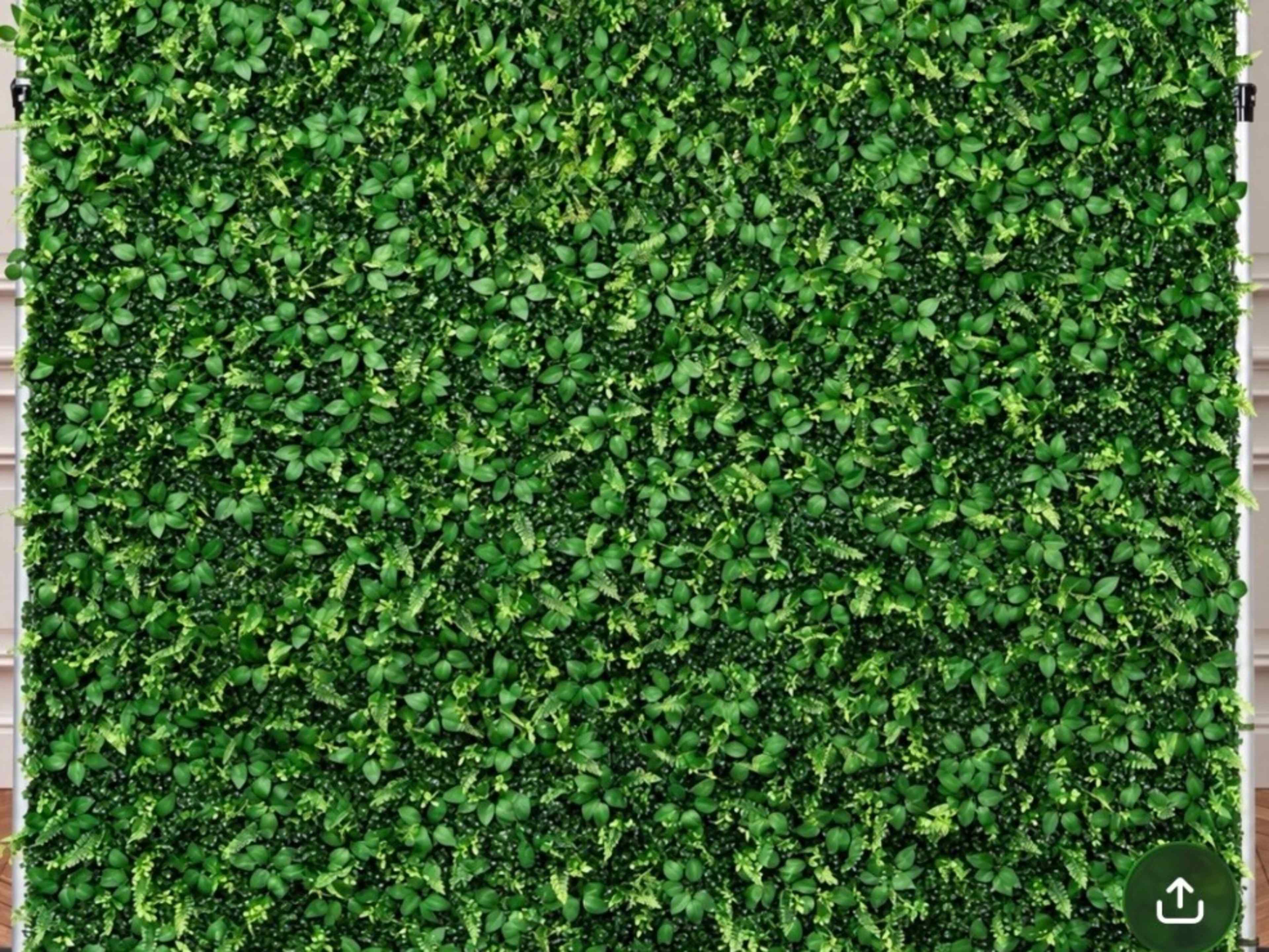 8' × 8'  Greenery Wall | Luxury Photo Back