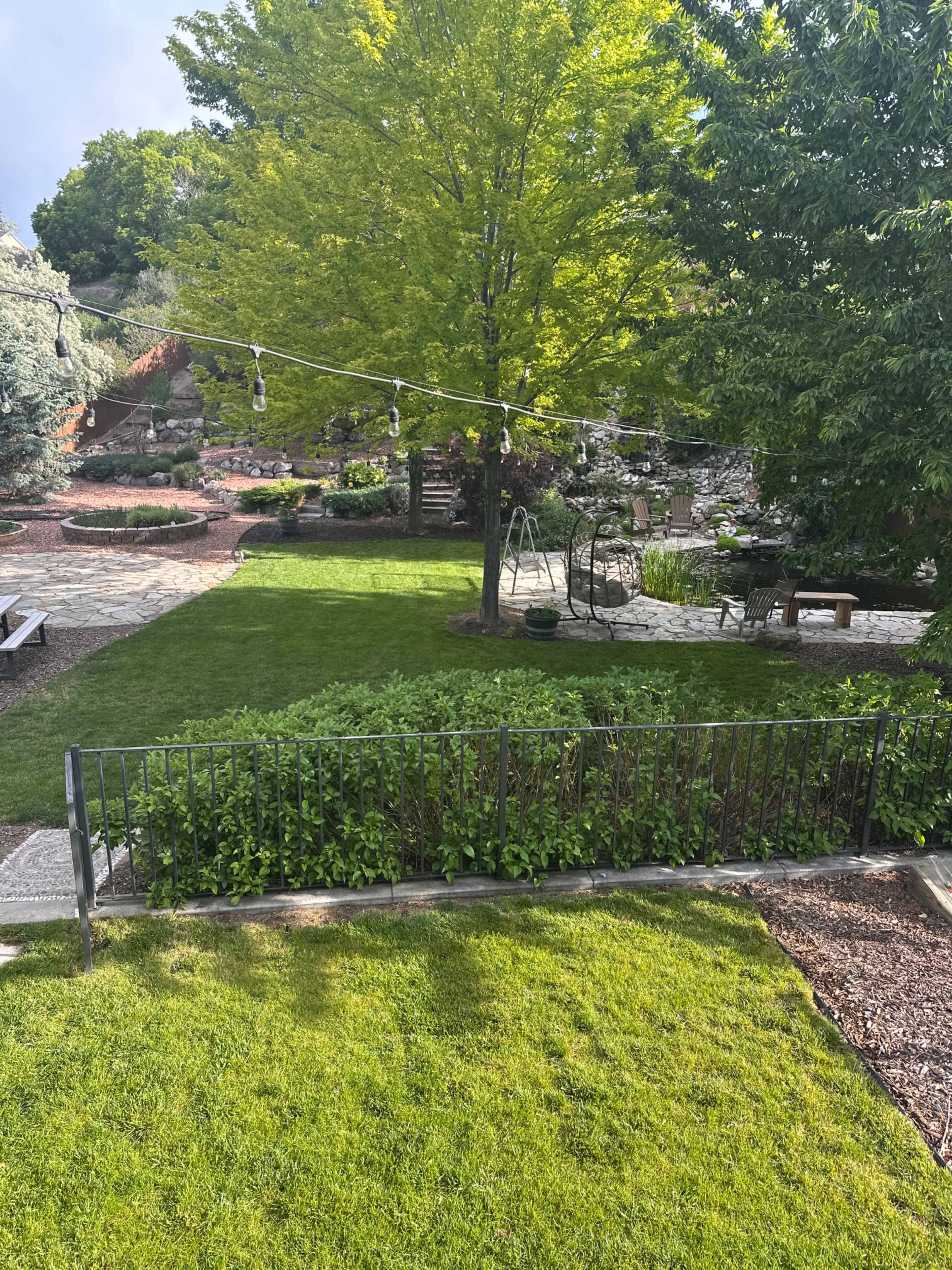 The image shows a well-maintained garden with a variety of trees, stone paths, and a grill area surrounded by green grass and a decorative fence.
