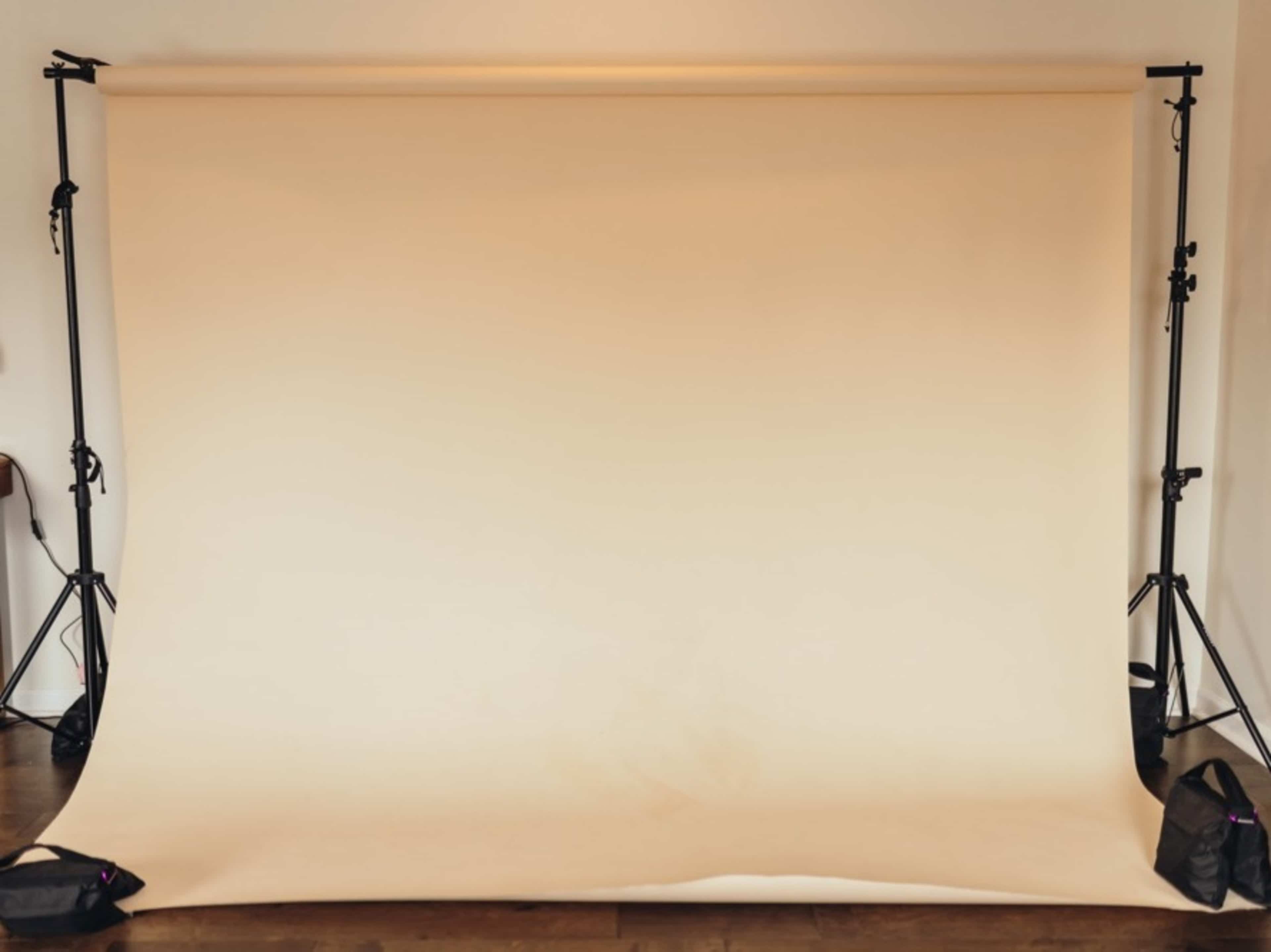 Egg Nog Paper Backdrop Rental