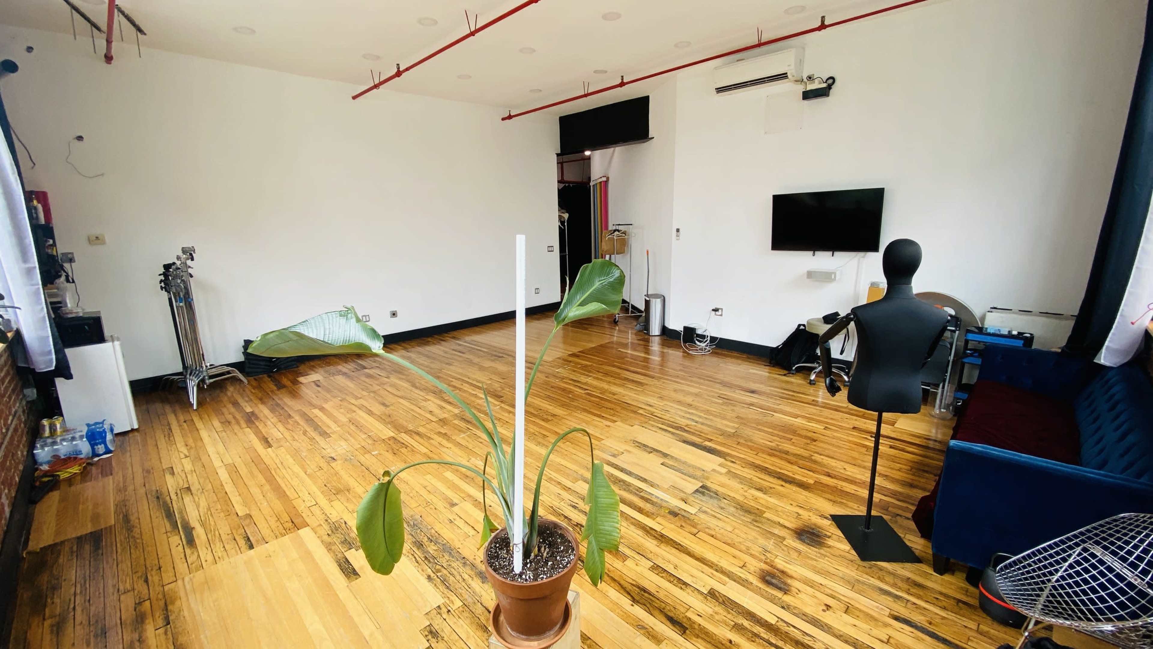 A spacious room with wooden flooring features a potted plant in the foreground, a mannequin, a wall-mounted television, and minimal furniture.