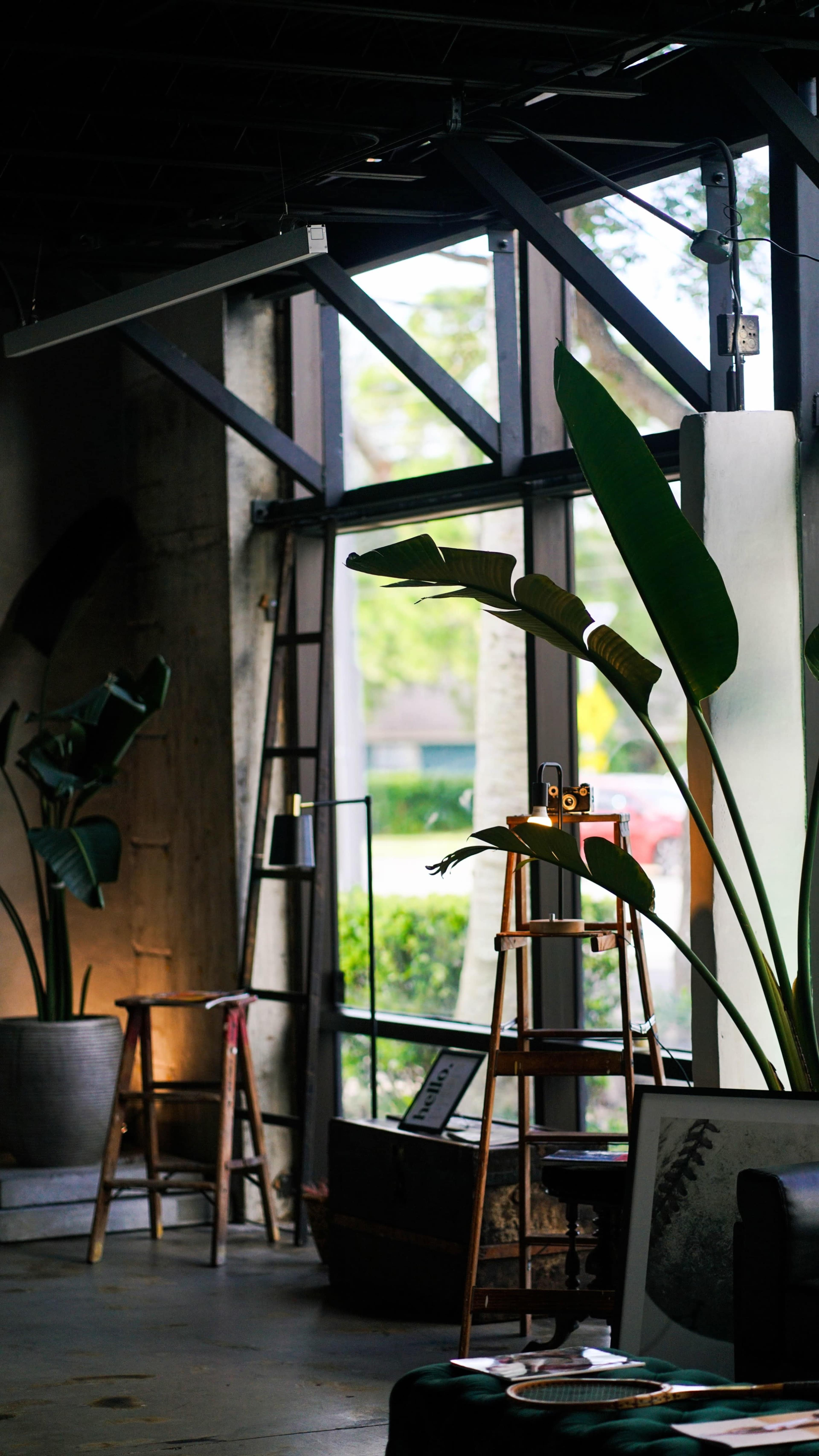 The image shows a modern interior space with large windows, potted plants, and a wooden ladder near a decorative display.