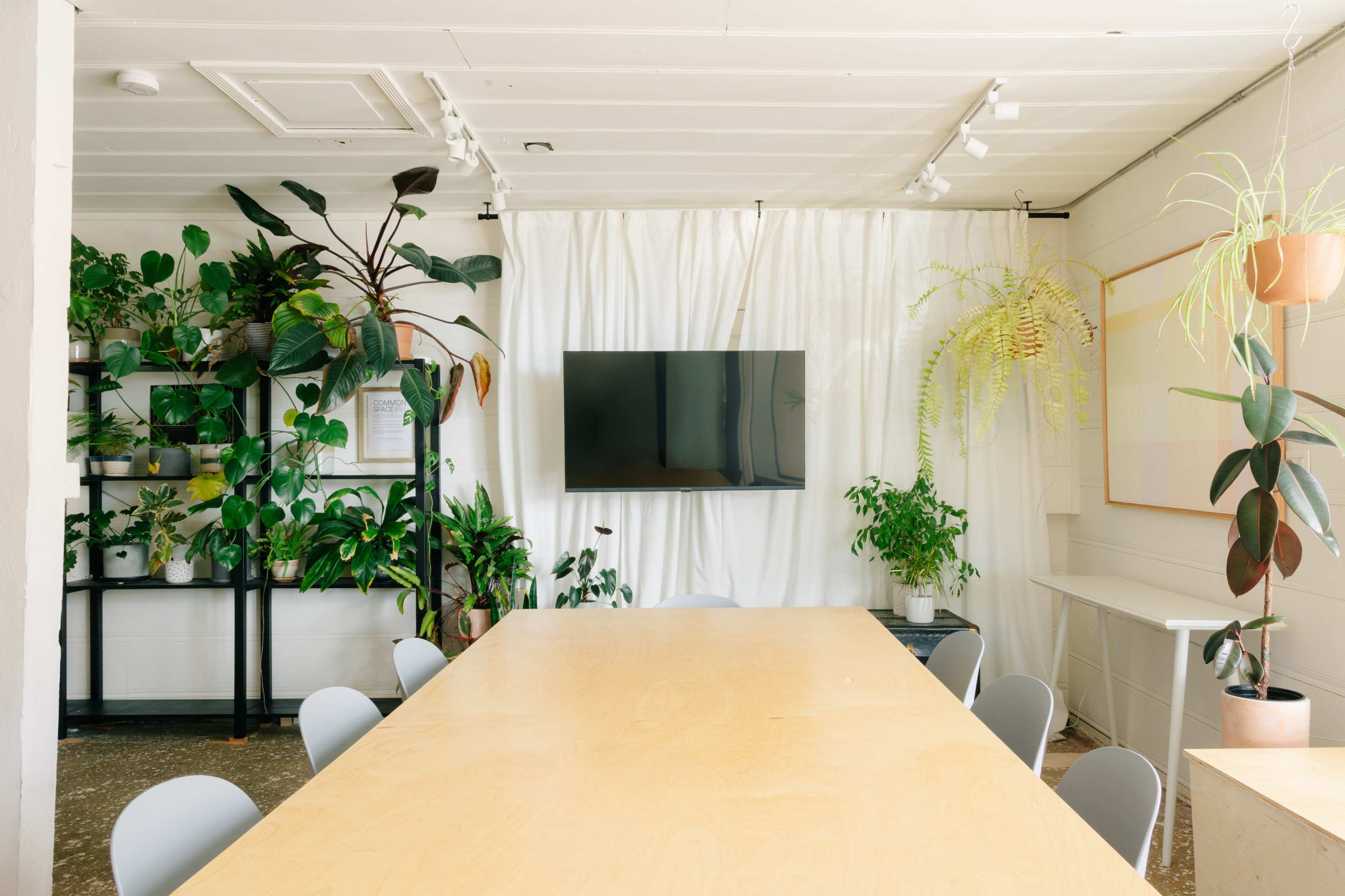 A bright meeting room features a long wooden table surrounded by gray chairs, with a large wall-mounted TV and various indoor plants decorating the space.