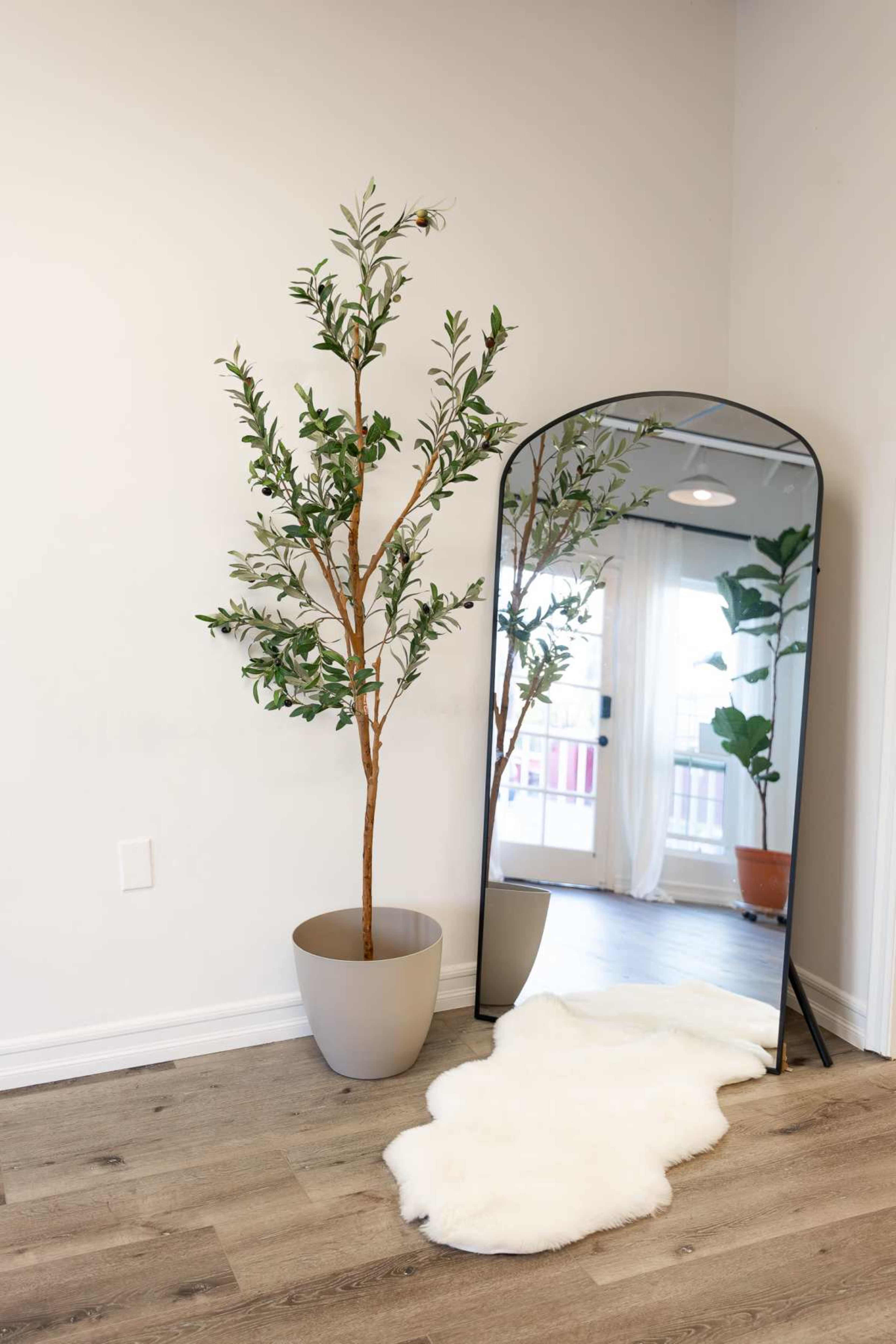The image features a tall, potted artificial plant next to a large, arched mirror on a wooden floor, with a soft rug in front of it.