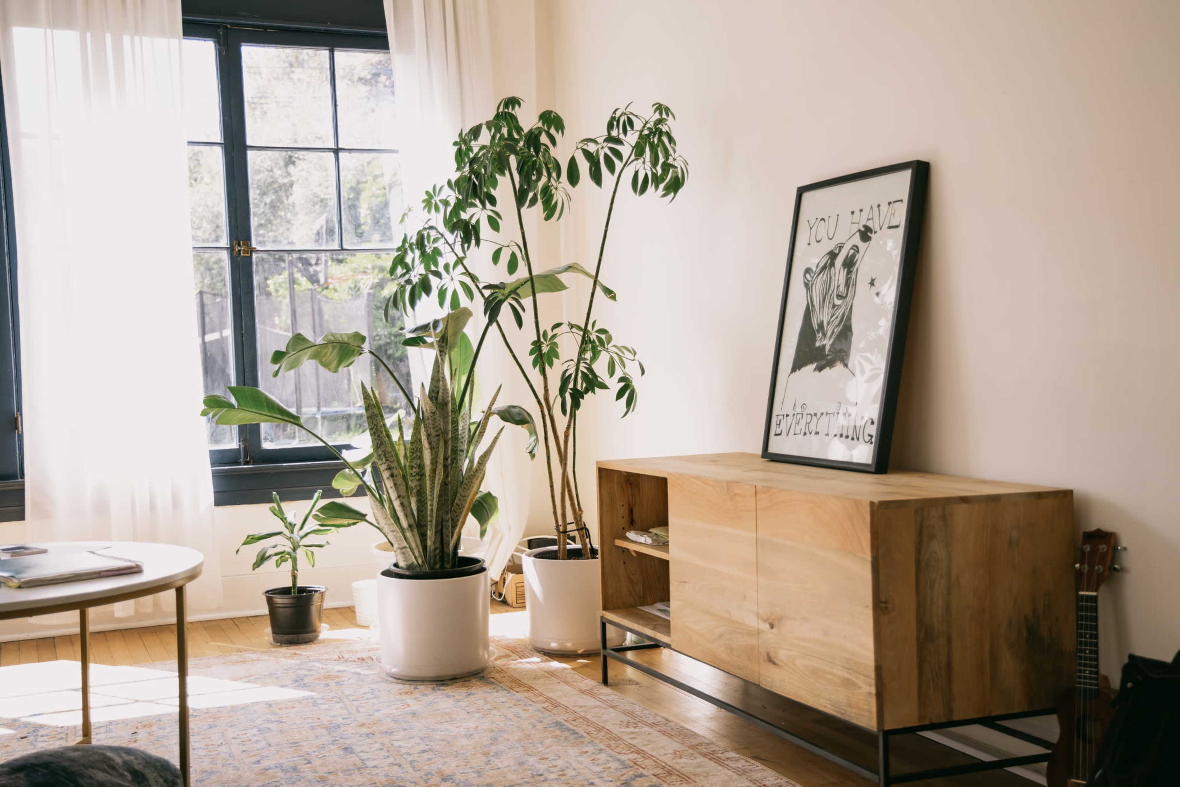 A room features a wooden sideboard with a framed poster, potted plants, and a large window allowing natural light.
