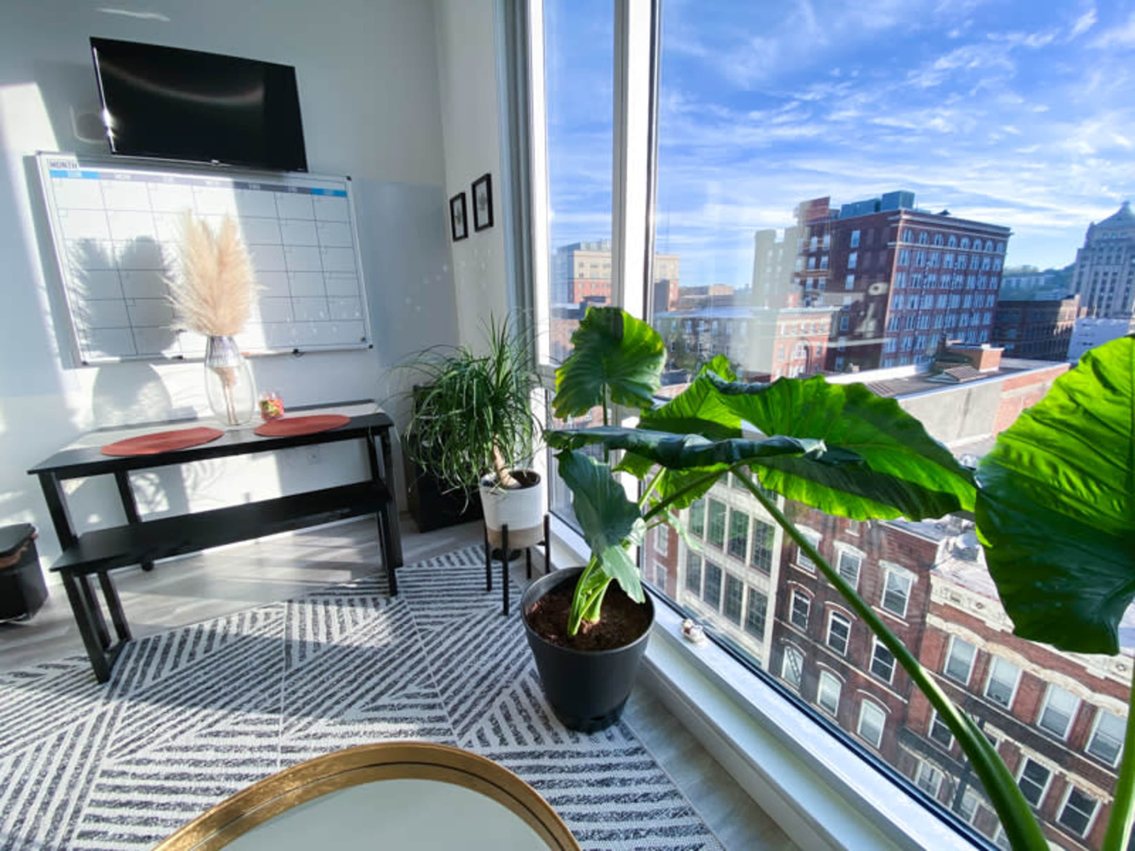 The image shows a bright room with large windows overlooking a cityscape, featuring a black table set with placemats, a white board on the wall, and large green plants in pots.