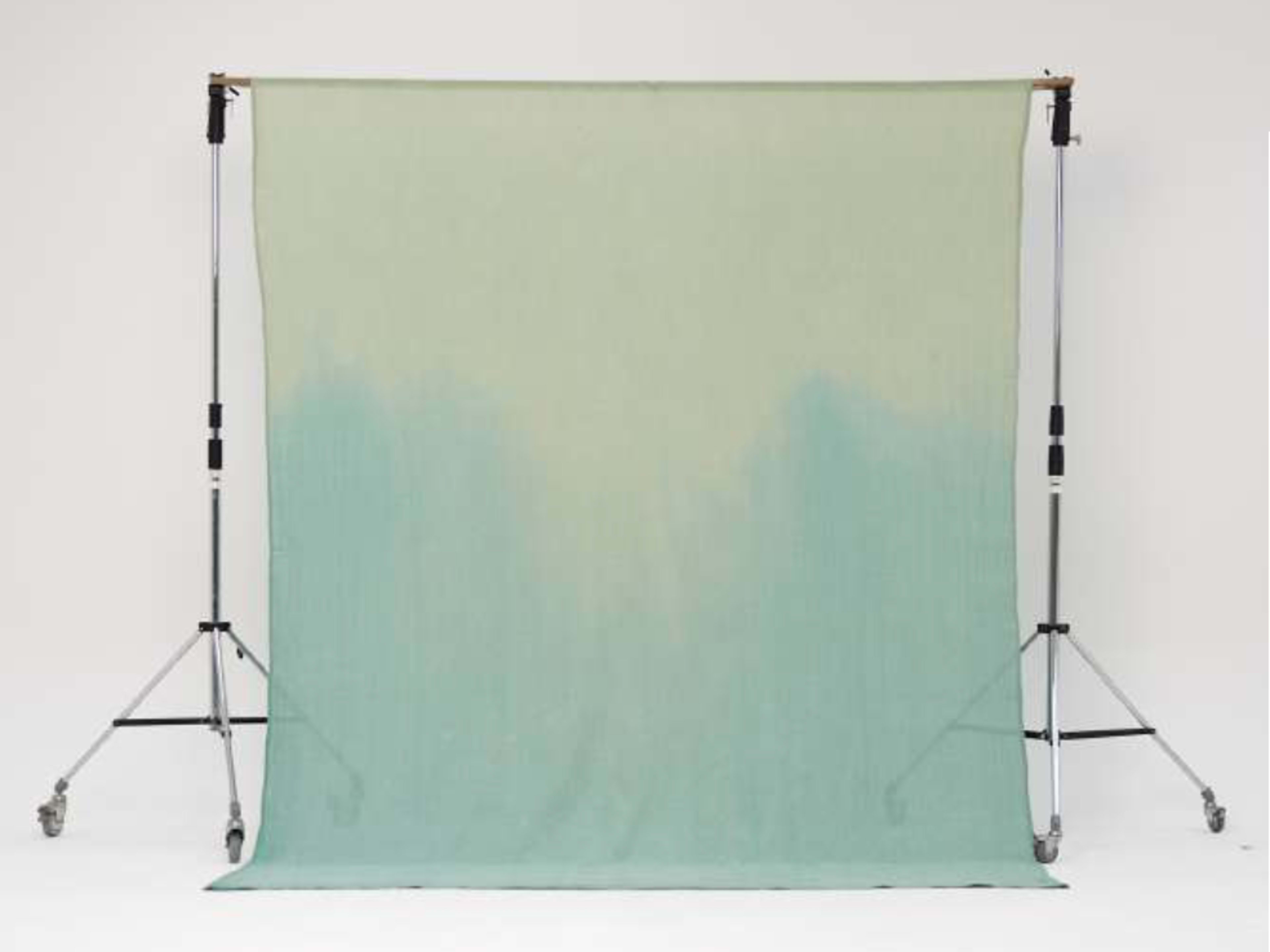 Fabric Backdrop: Ombré Sage