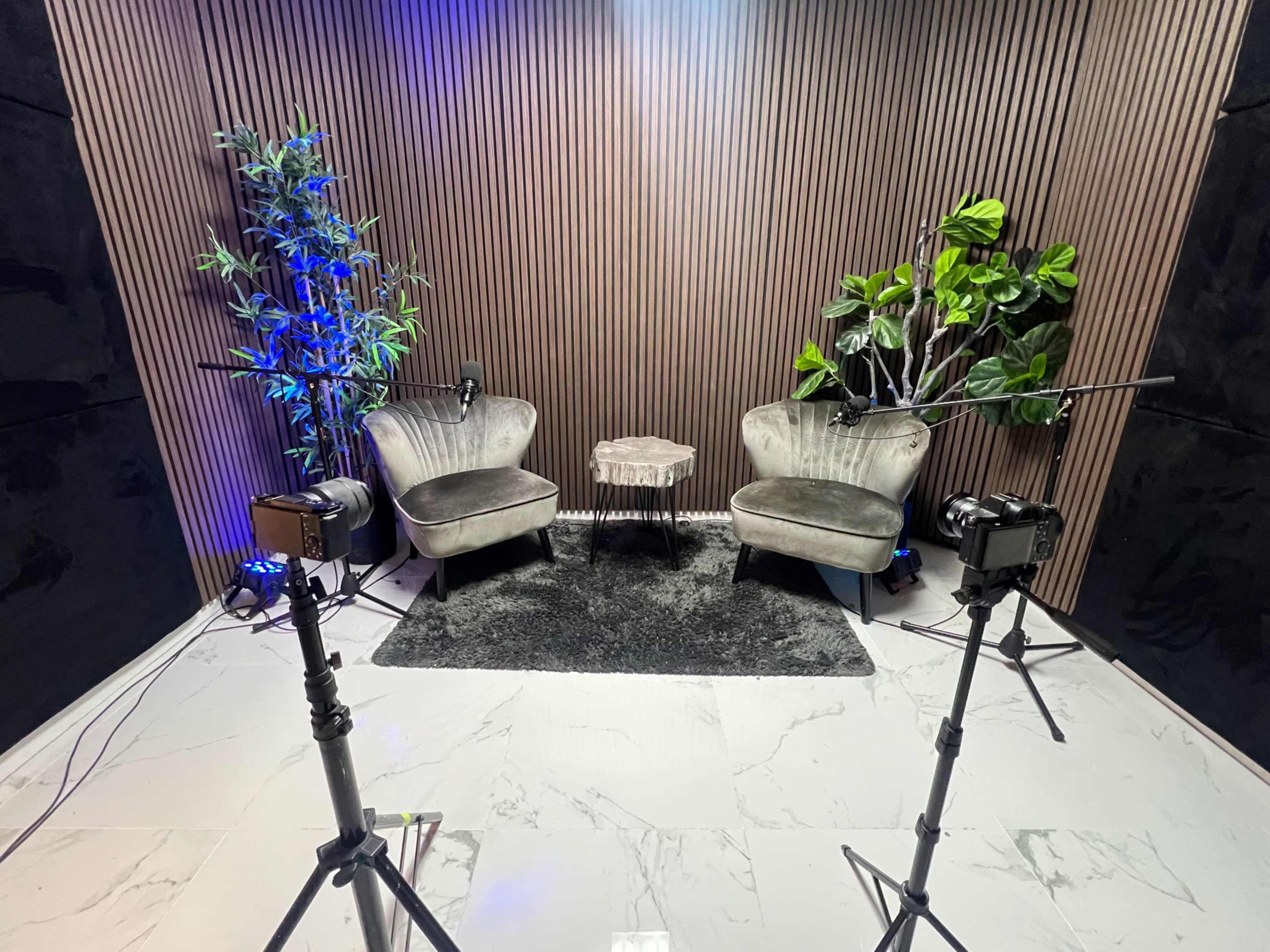 The image shows a well-lit interview space with two velvet chairs, a small table in the center, and potted plants alongside a textured wooden backdrop.