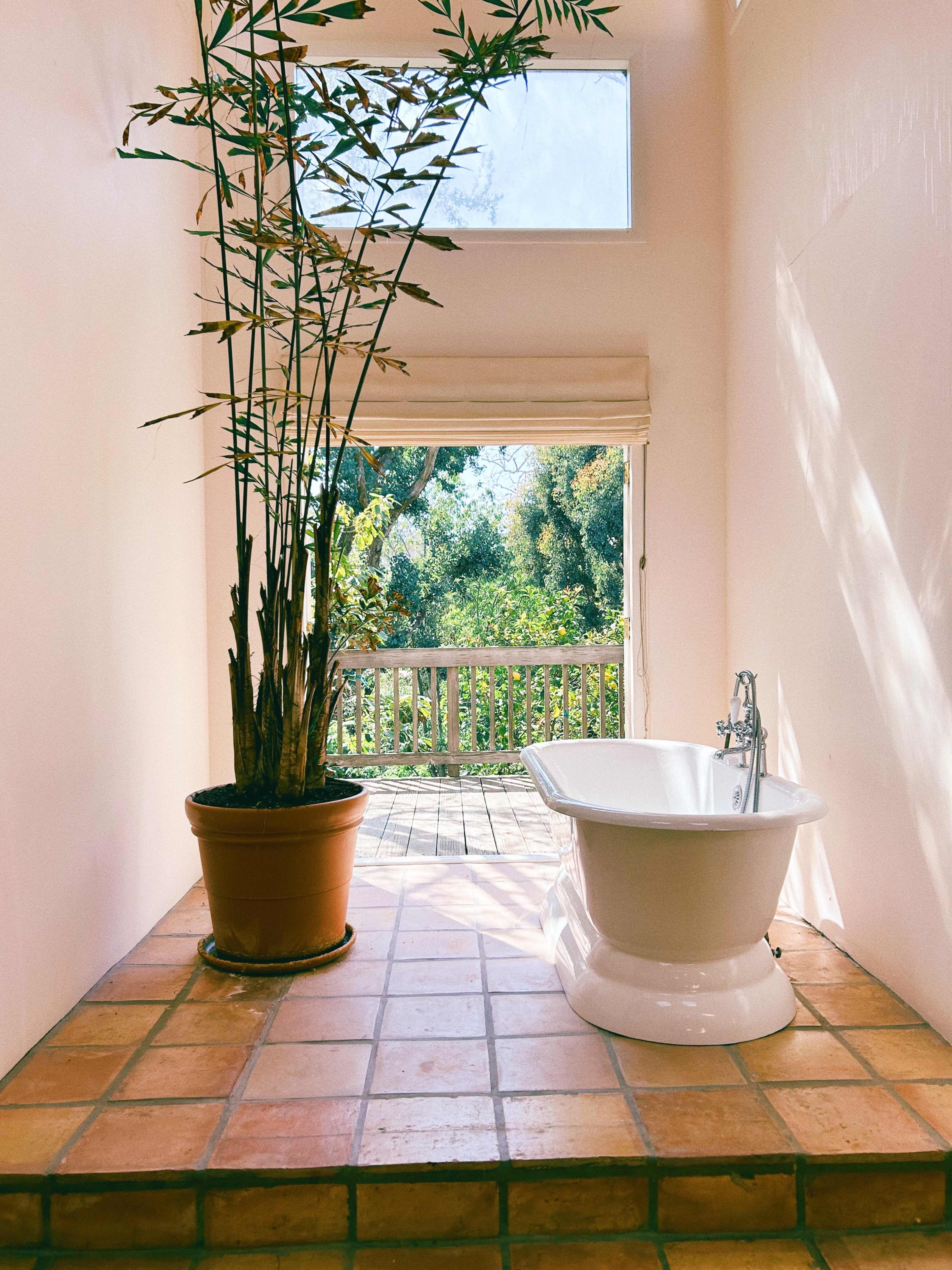 A freestanding white bathtub sits on terracotta tiles in a bright bathroom with a large window and a potted bamboo plant.