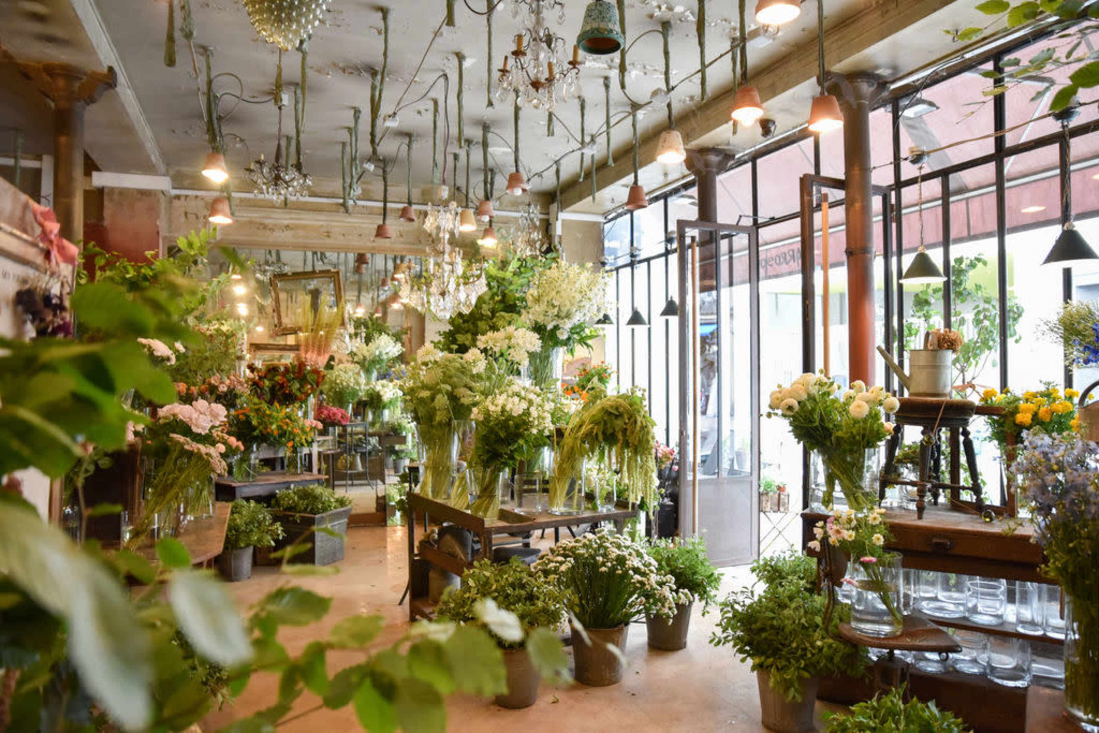 A flower shop filled with various arrangements of flowers and plants displayed in glass vases and pots.