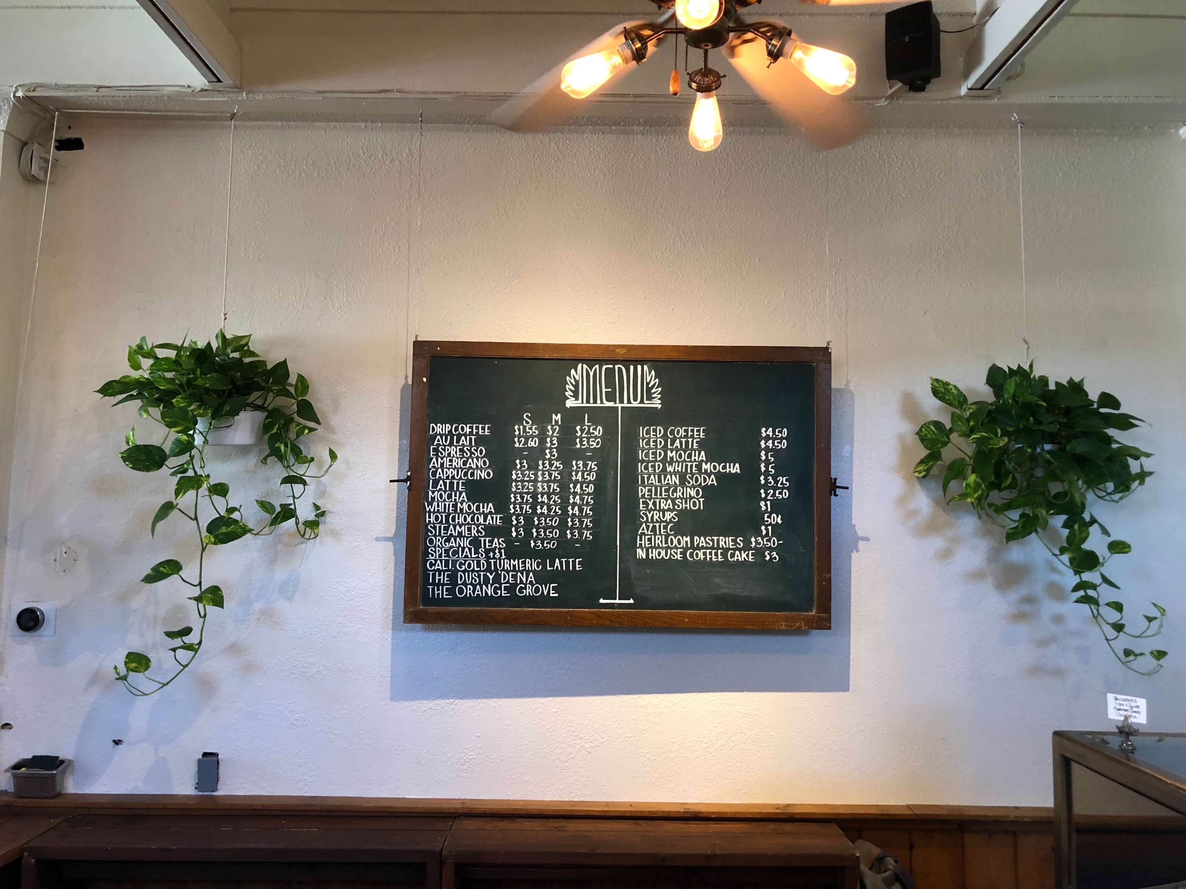 A chalkboard menu displays various drinks and prices on a wall with hanging plants.