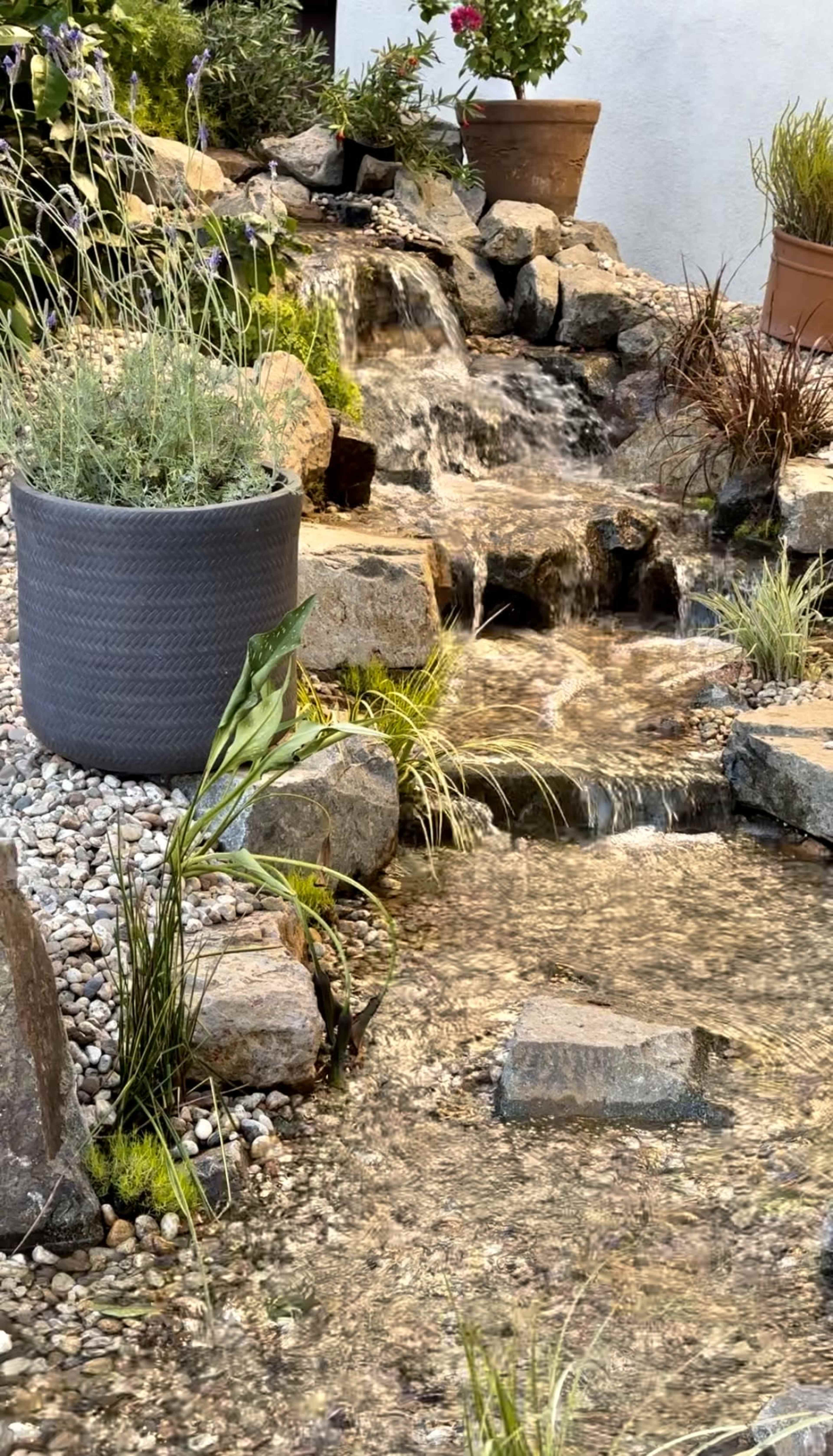 A small waterfall flowing over rocks into a shallow stream, bordered by decorative plants and a potted plant on the side.