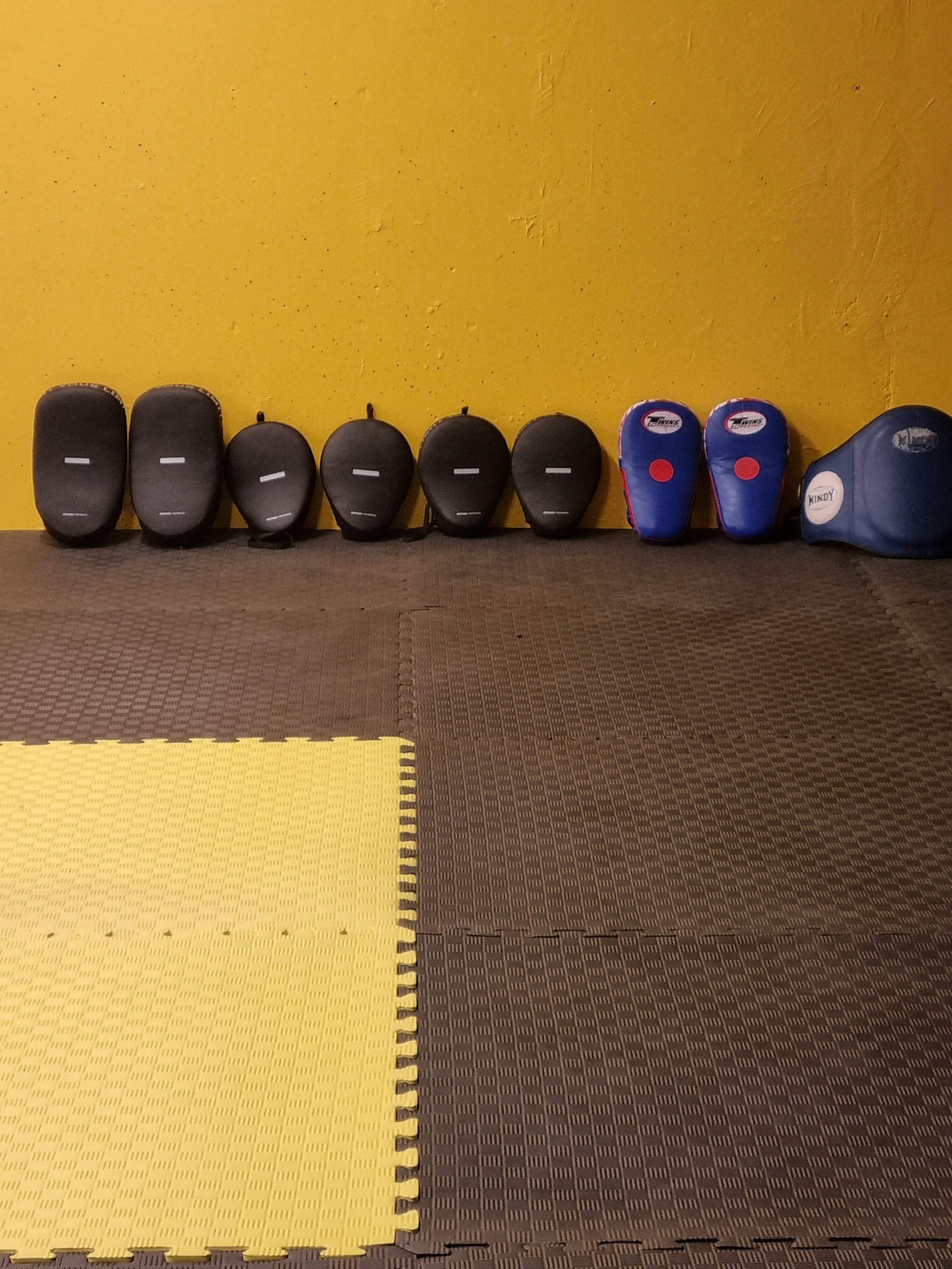 A line of black and blue training pads arranged against a yellow wall, with a yellow mat on the floor.