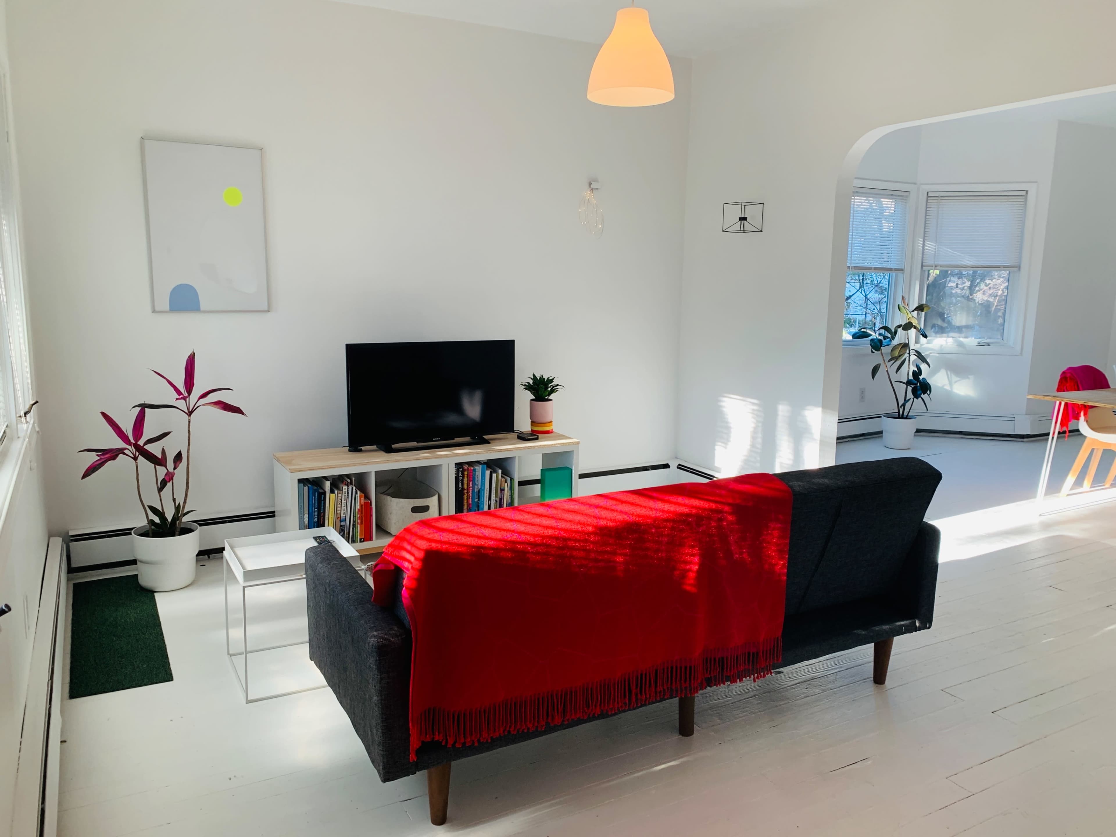The room features a couch draped with a red blanket, a television on a wooden stand, and plants positioned around a bright, minimalist space.