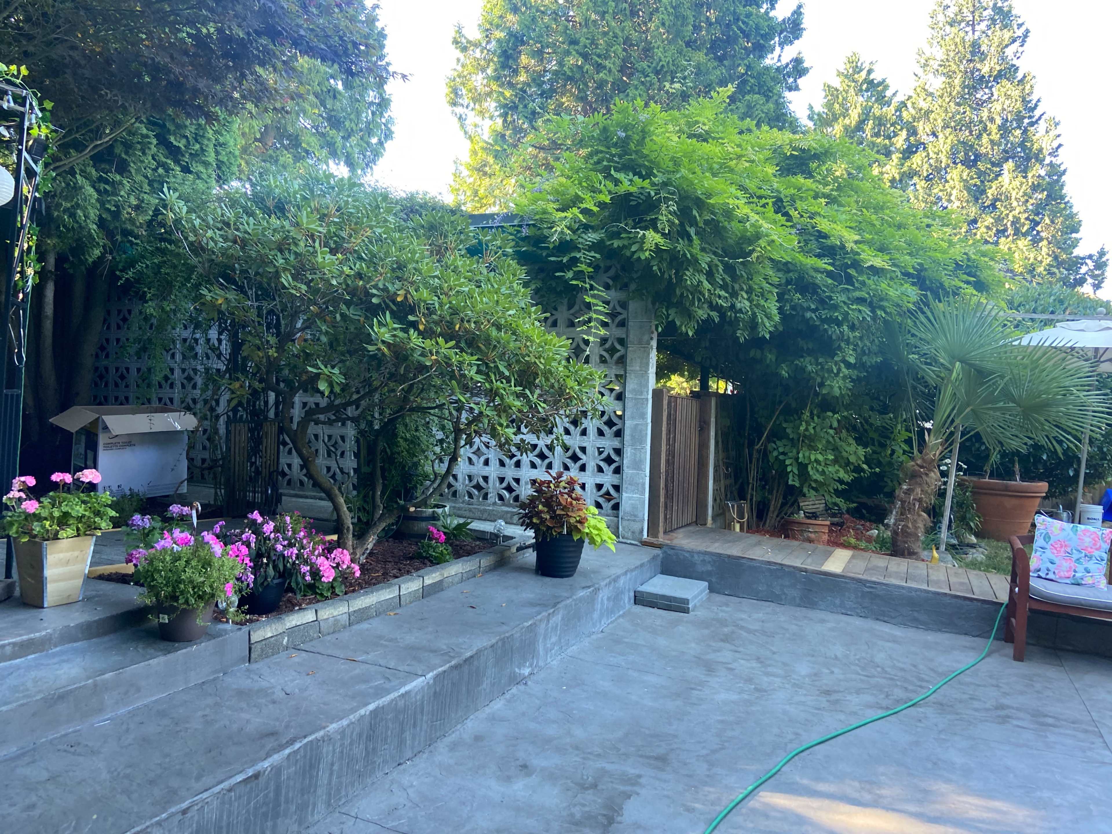 A landscaped backyard featuring various plants in pots, a concrete patio, and a trellis with climbing greenery.