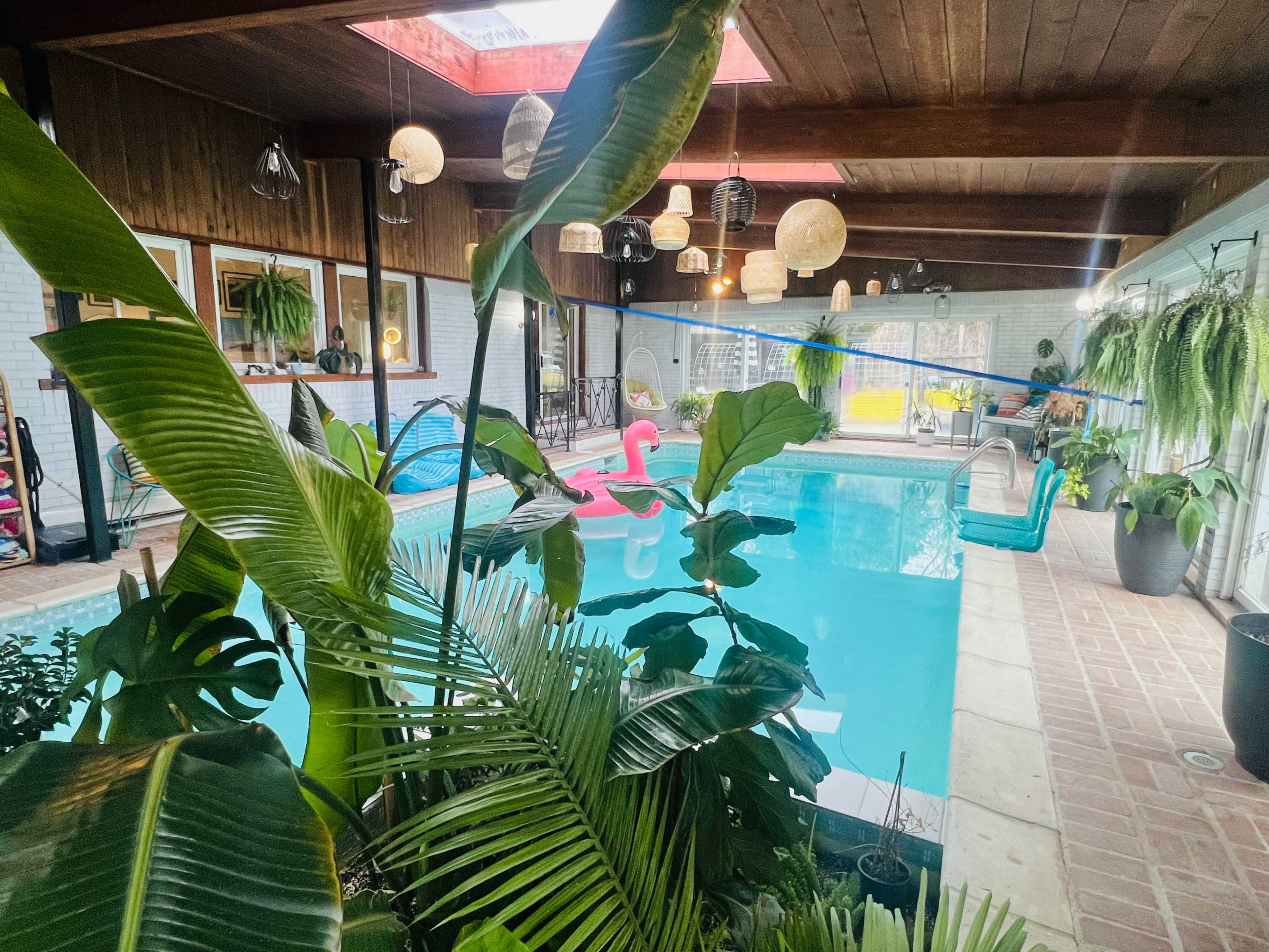 Tropical Indoor Swimming Oasis Image in Hampden South, Denver, CO
