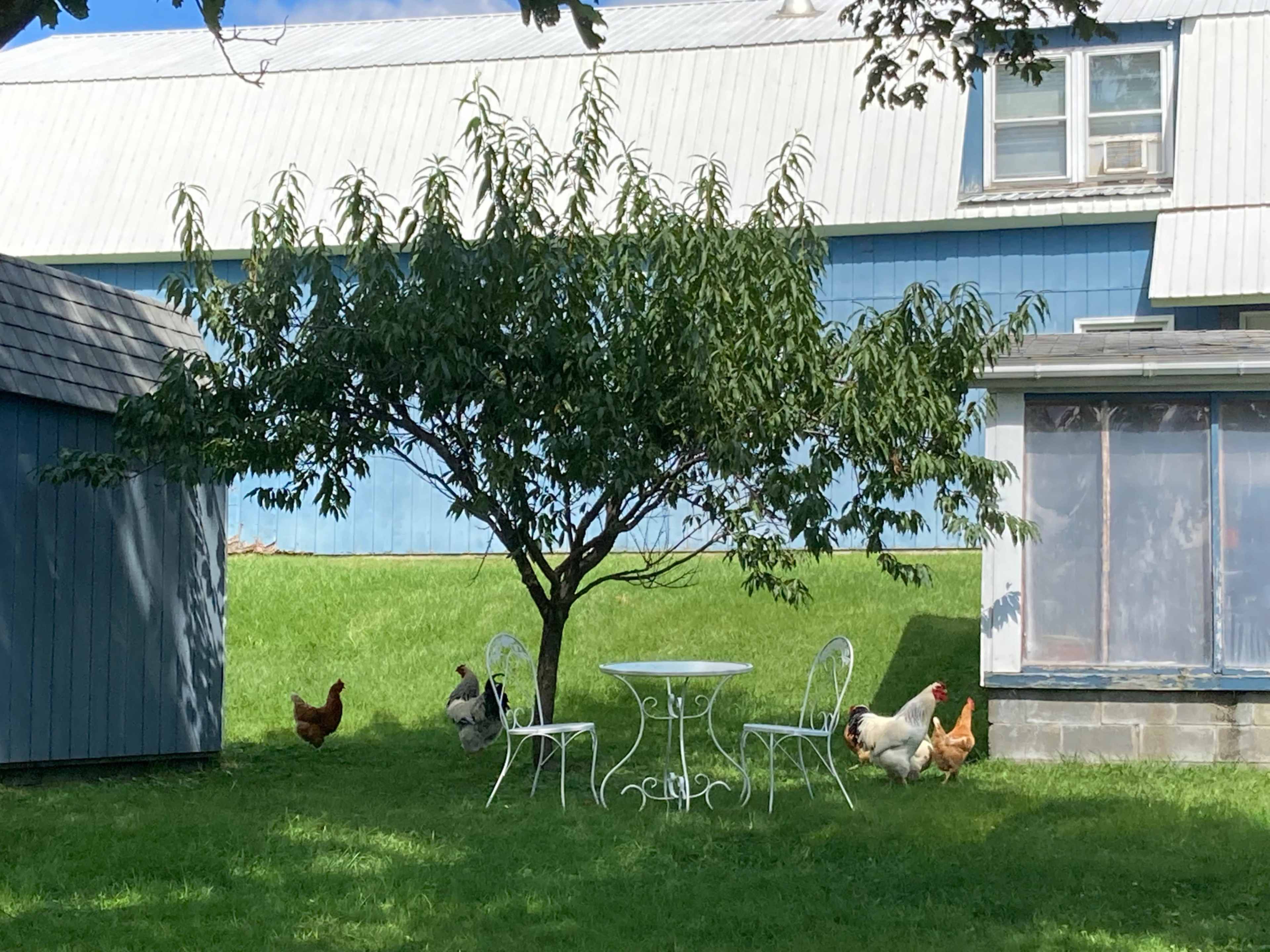 12 Acre Barn Retreat in Scenic Saratoga Springs NY Image in Saratoga Springs, Saratoga Springs, NY