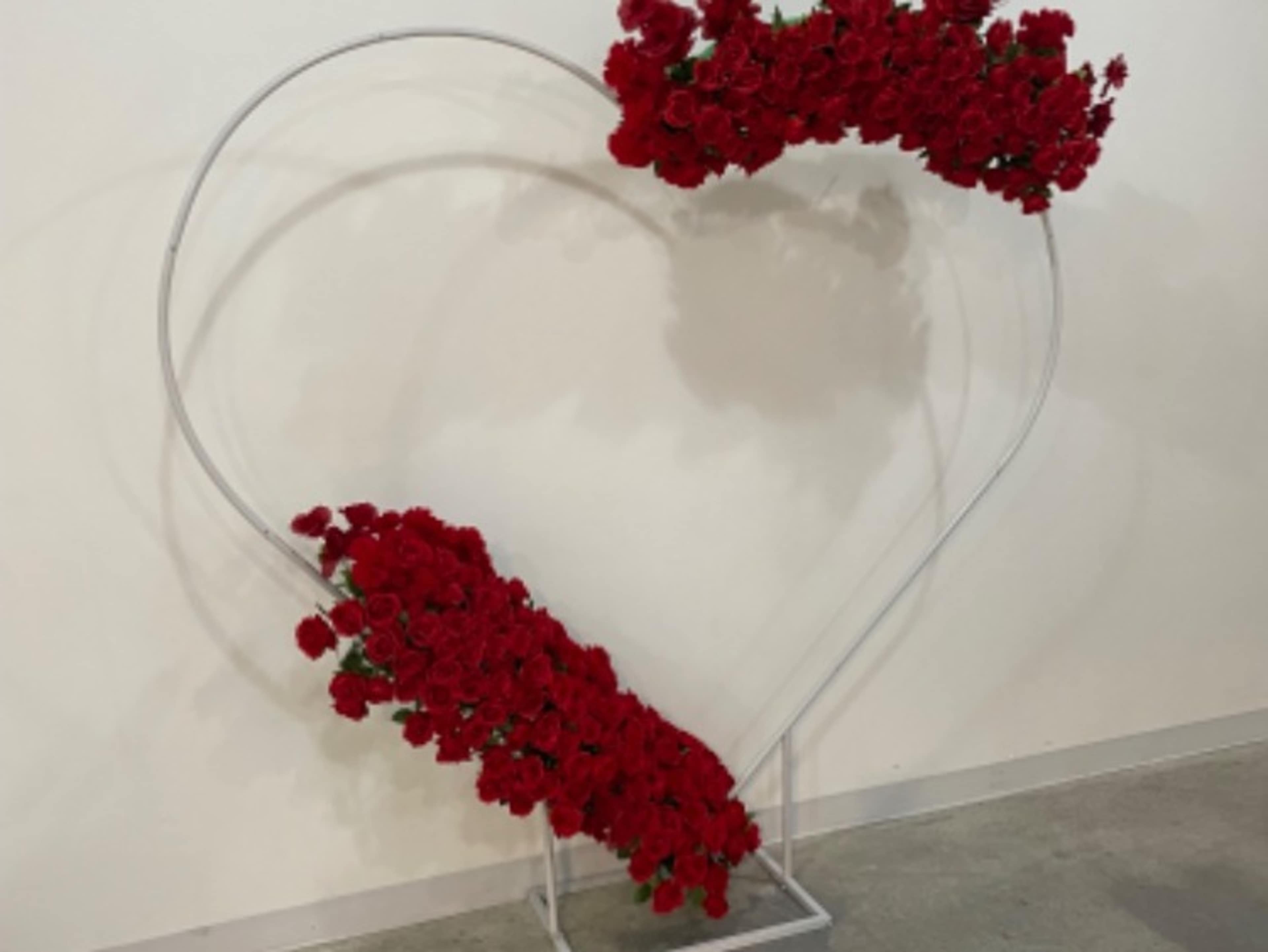 Heart Shaped Backdrop