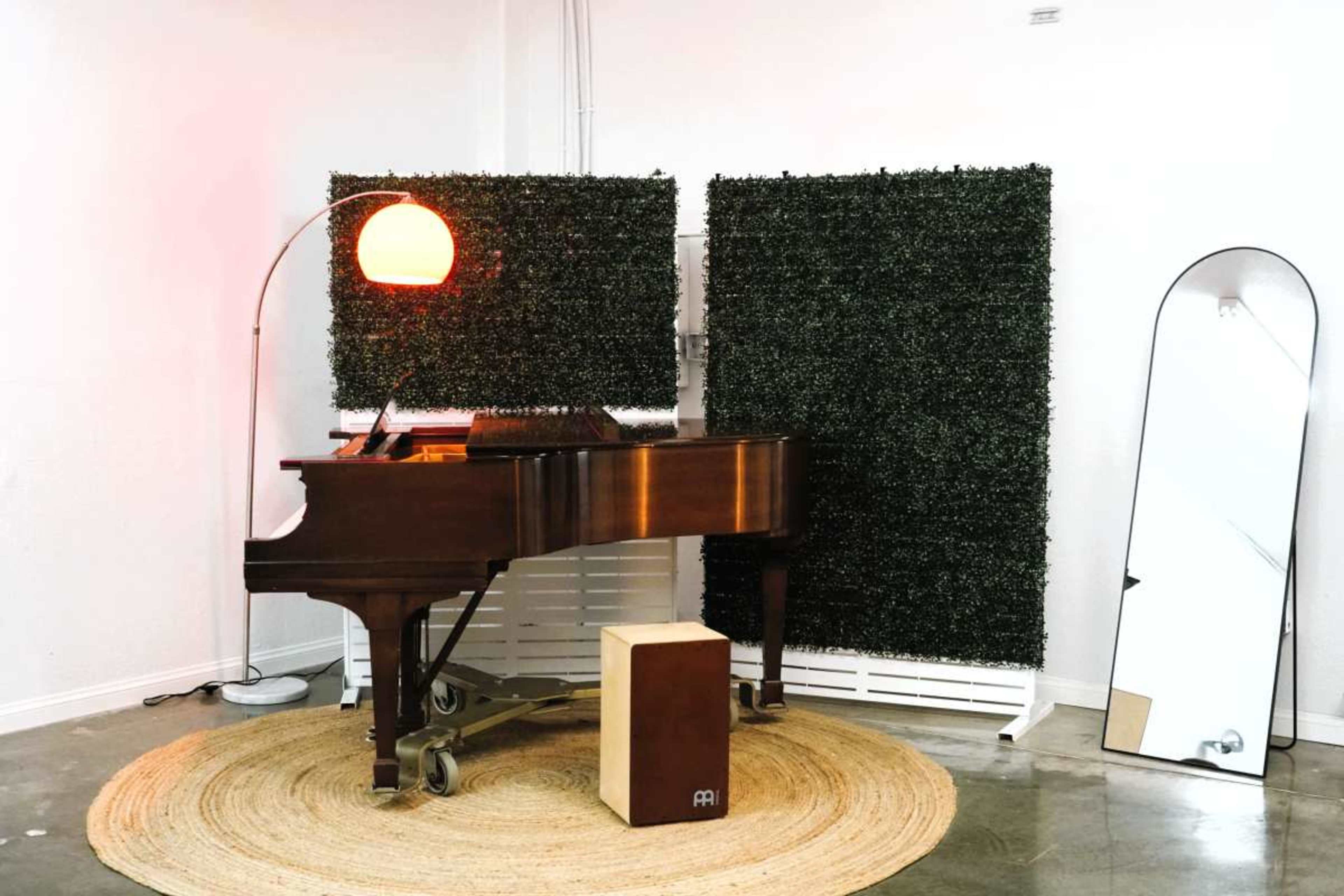 A grand piano is positioned beside a decorative mirror and a light fixture, with a rug and leafy partitions in the background.