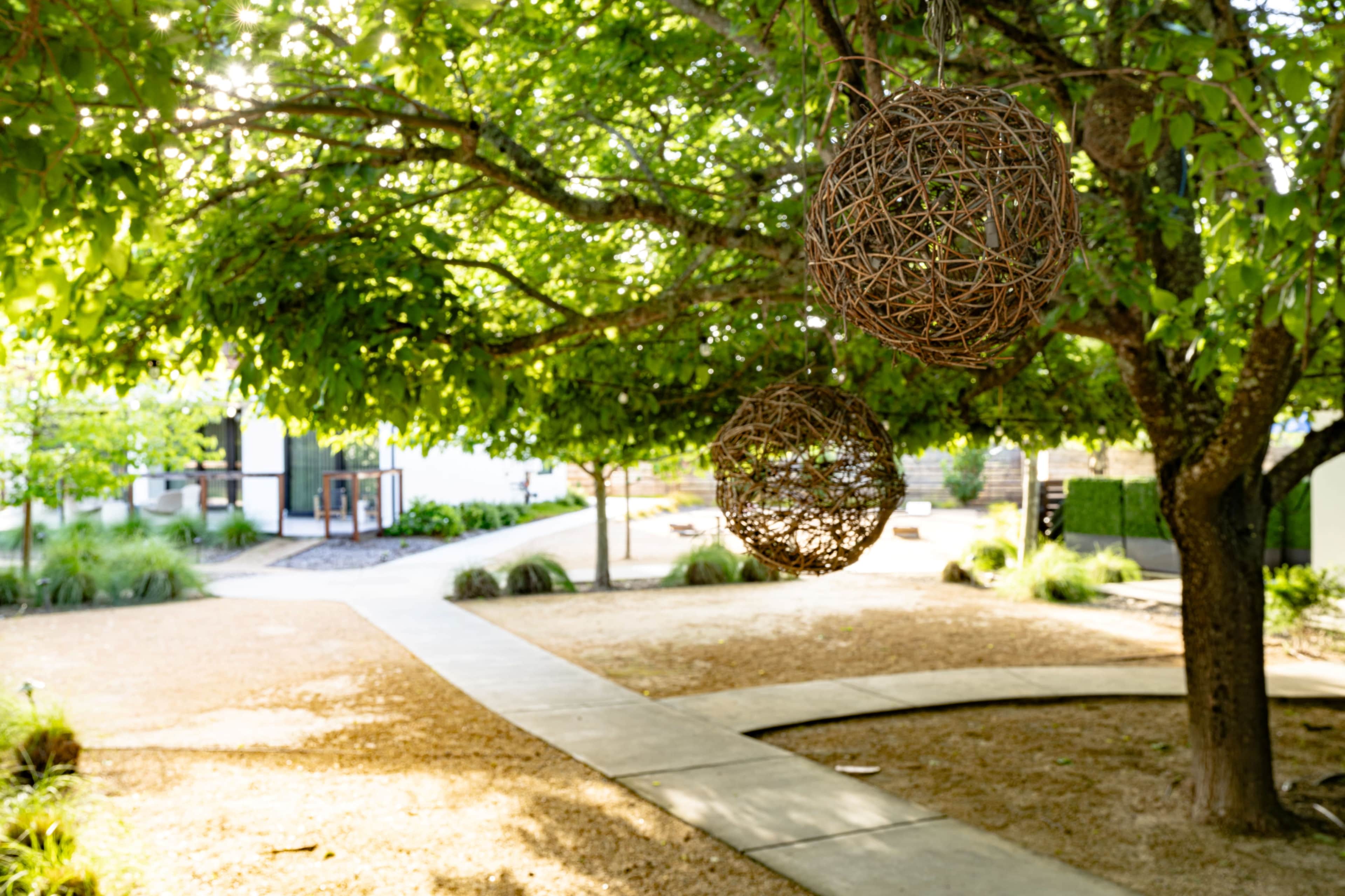 Two decorative woven spheres hang from a tree, surrounded by a grassy area and a winding concrete pathway.