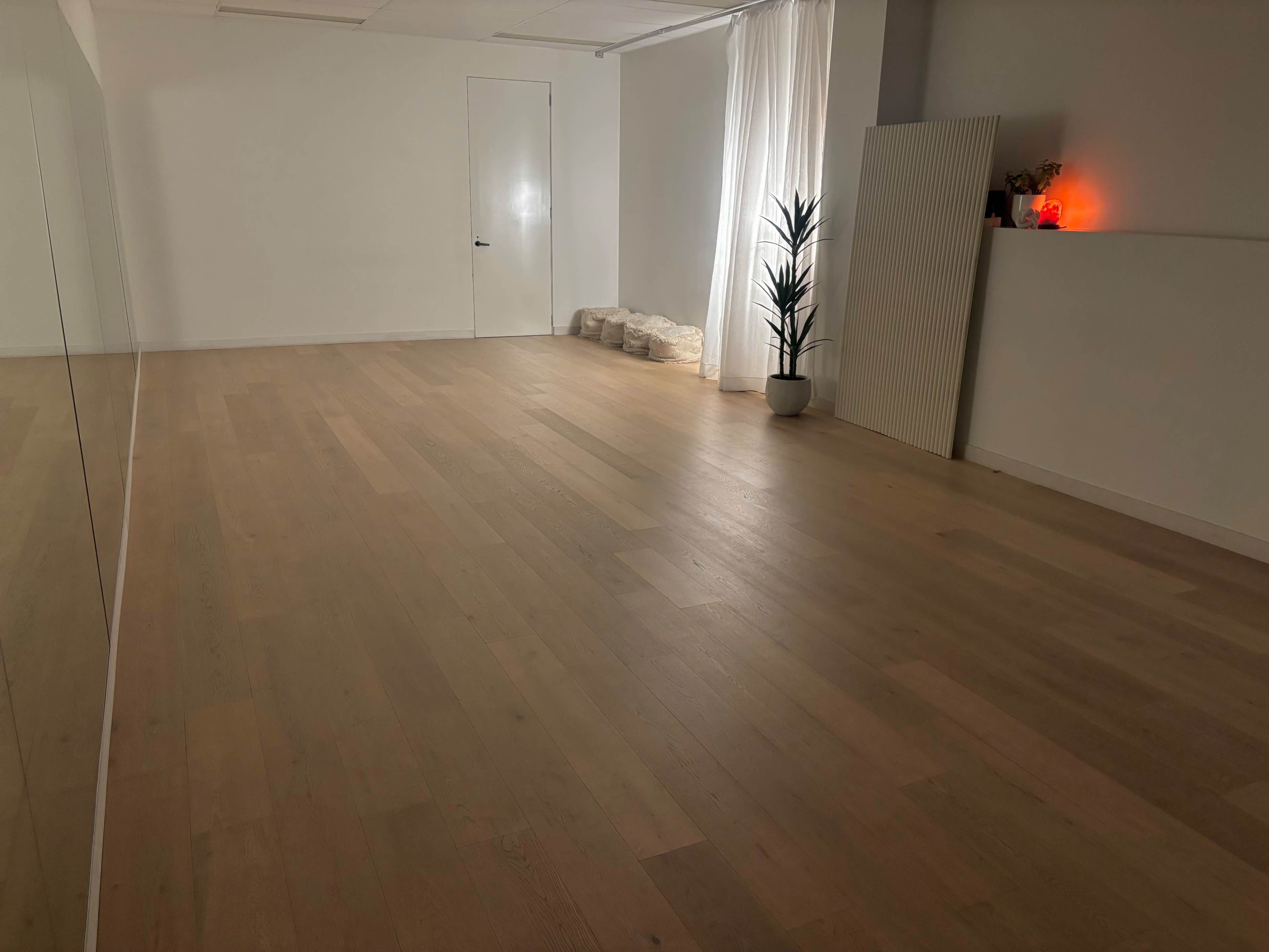 The image shows a bright, minimalist room with light wooden flooring, a large mirror on one wall, a potted plant in the corner, and simple decor items.