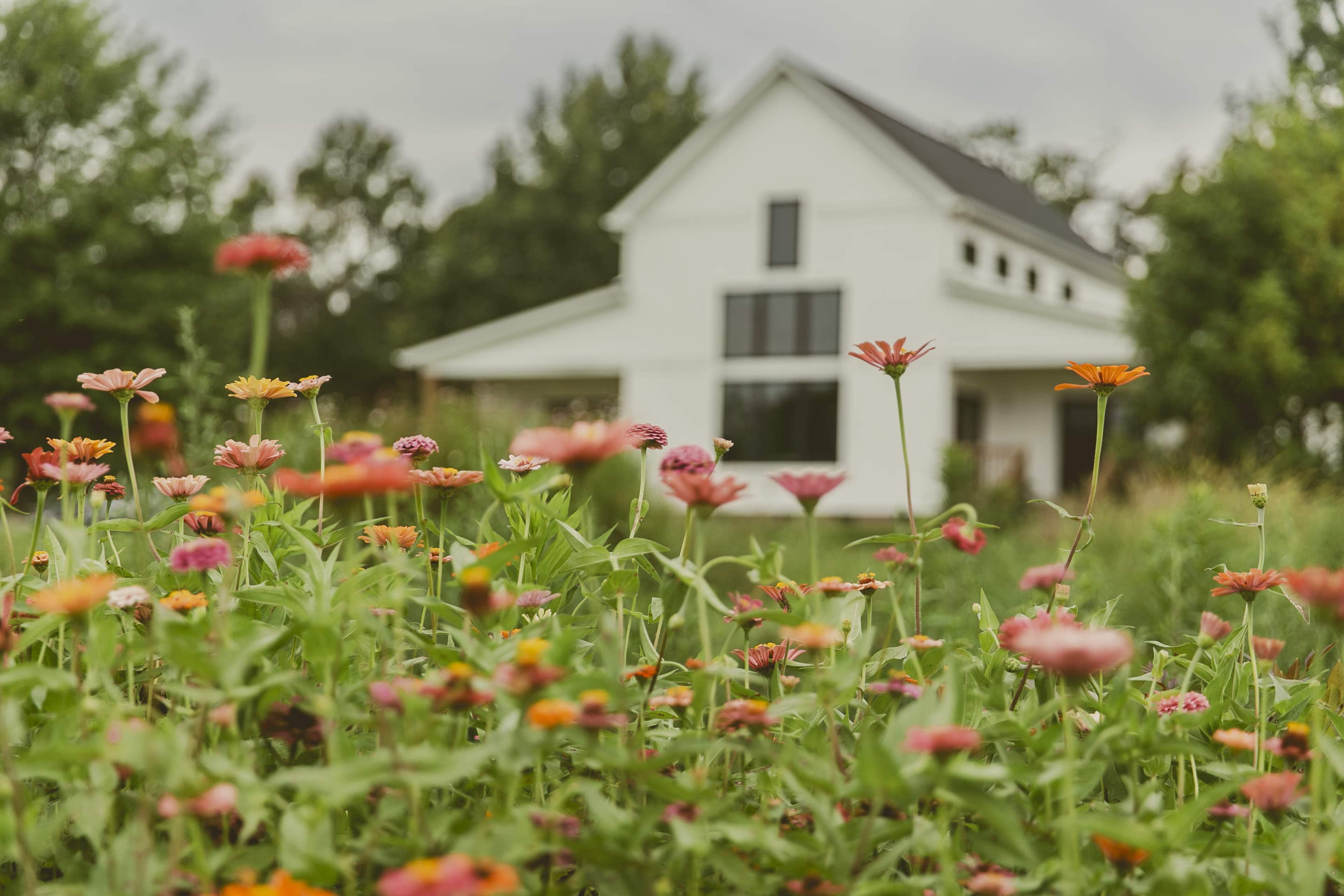 A white house with large windows is surrounded by a colorful garden of blooming flowers.