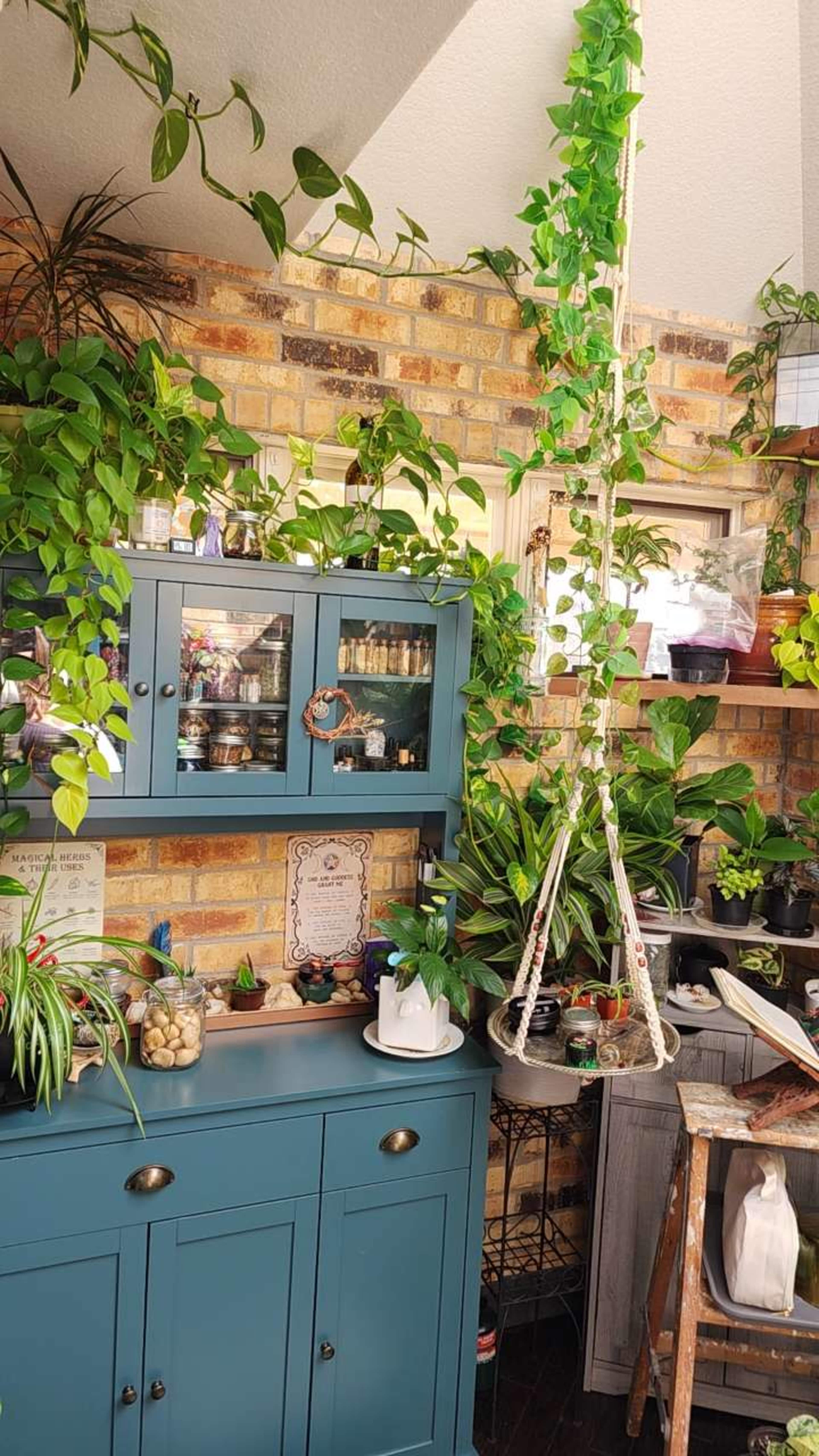 Bright Botanical Sunroom with Skylight + Lush Plant Wall Image in Centennial, Centennial, CO