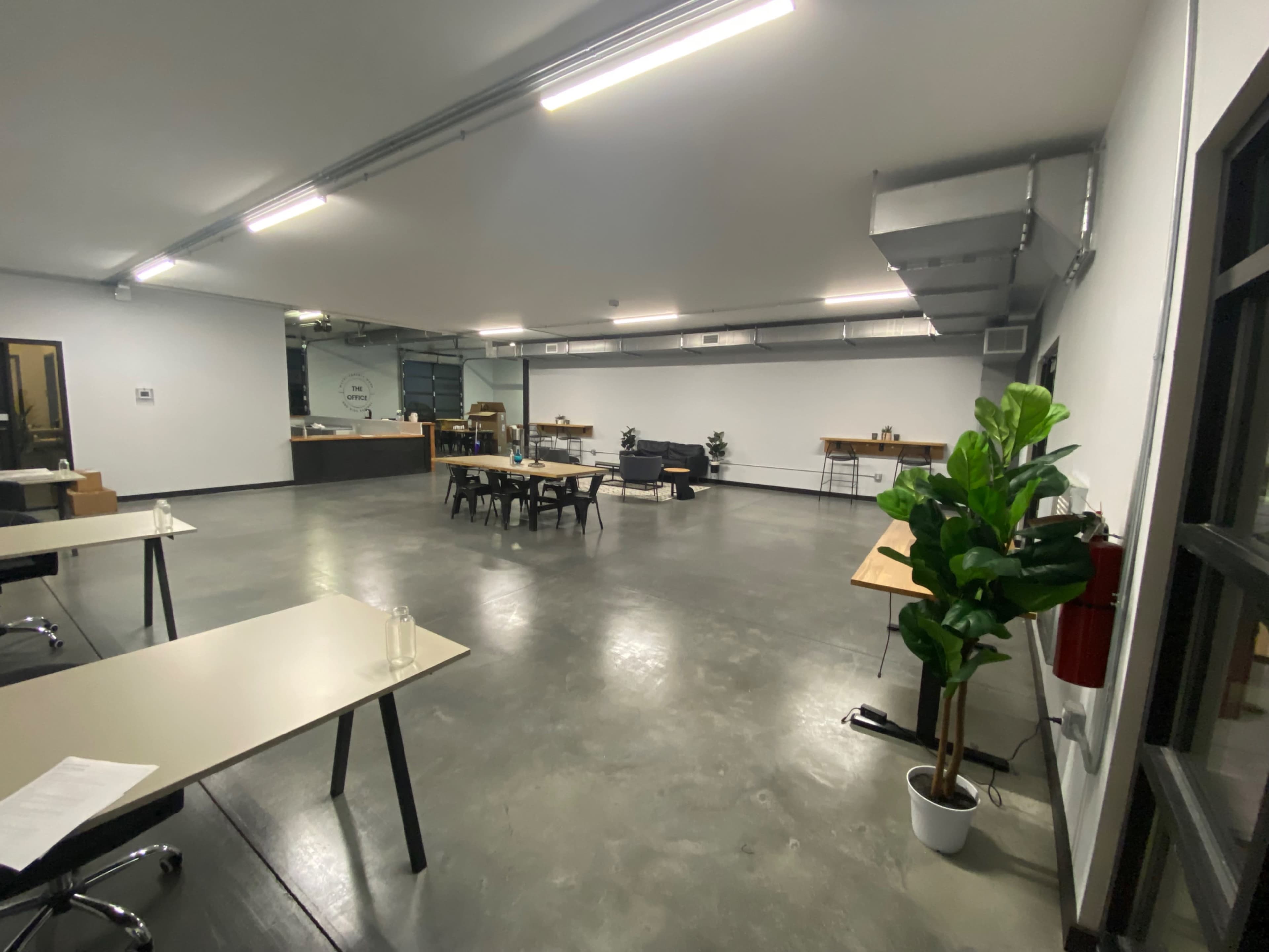 A spacious, minimalistic office interior features several tables, chairs, and a large plant, with well-lit, polished concrete flooring.