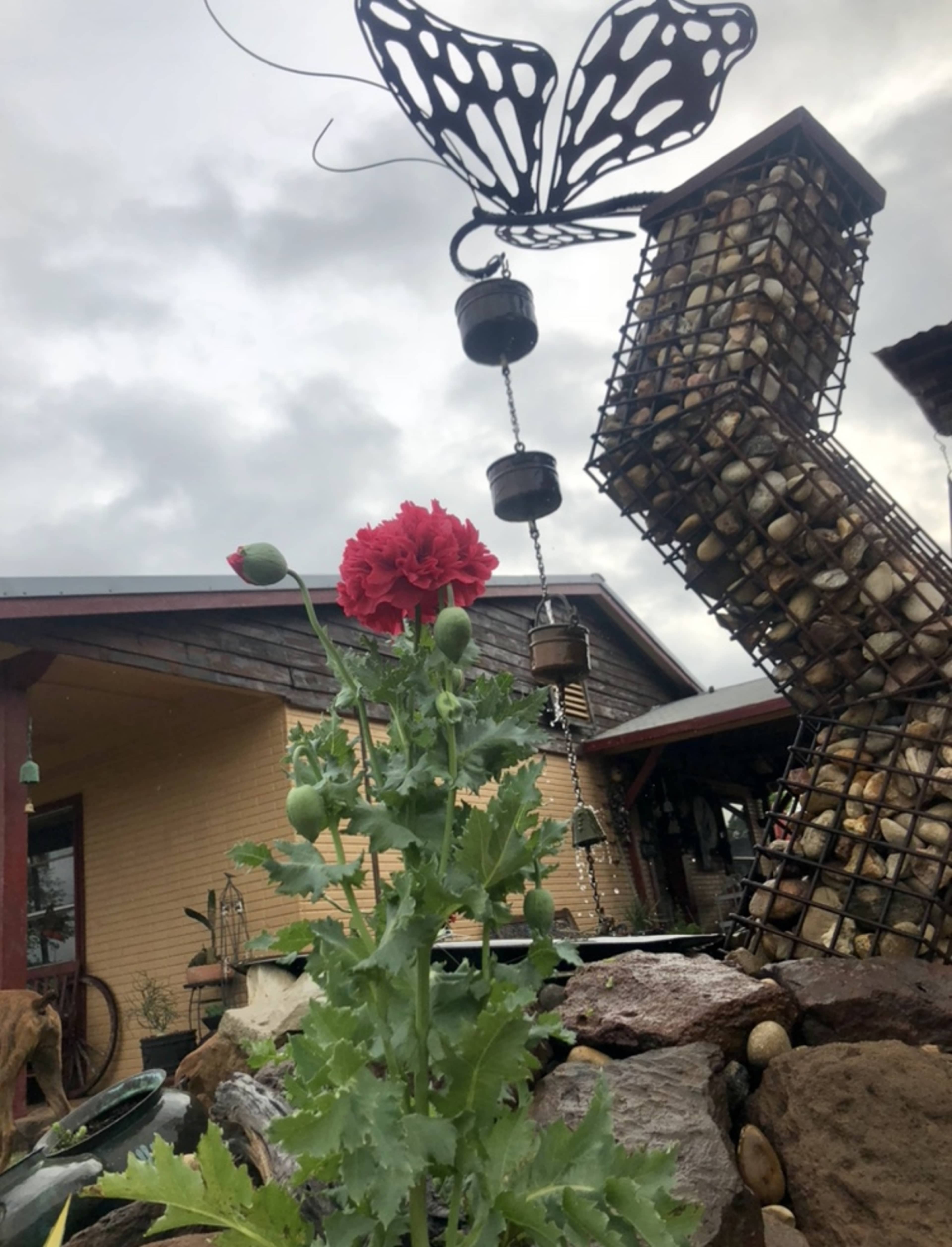 A red flower stands in the foreground in front of a metal butterfly sculpture and a rock garden near a house.