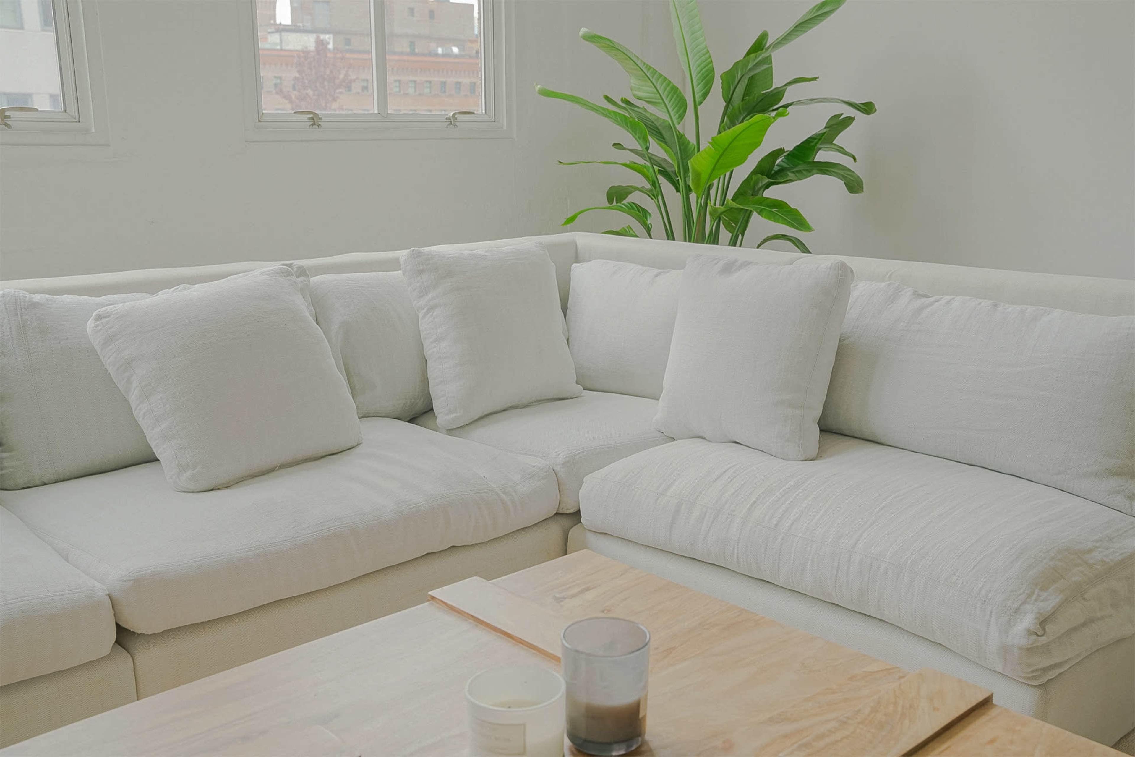 A light-colored sectional sofa with several plump pillows sits next to a potted plant in a bright, airy room.
