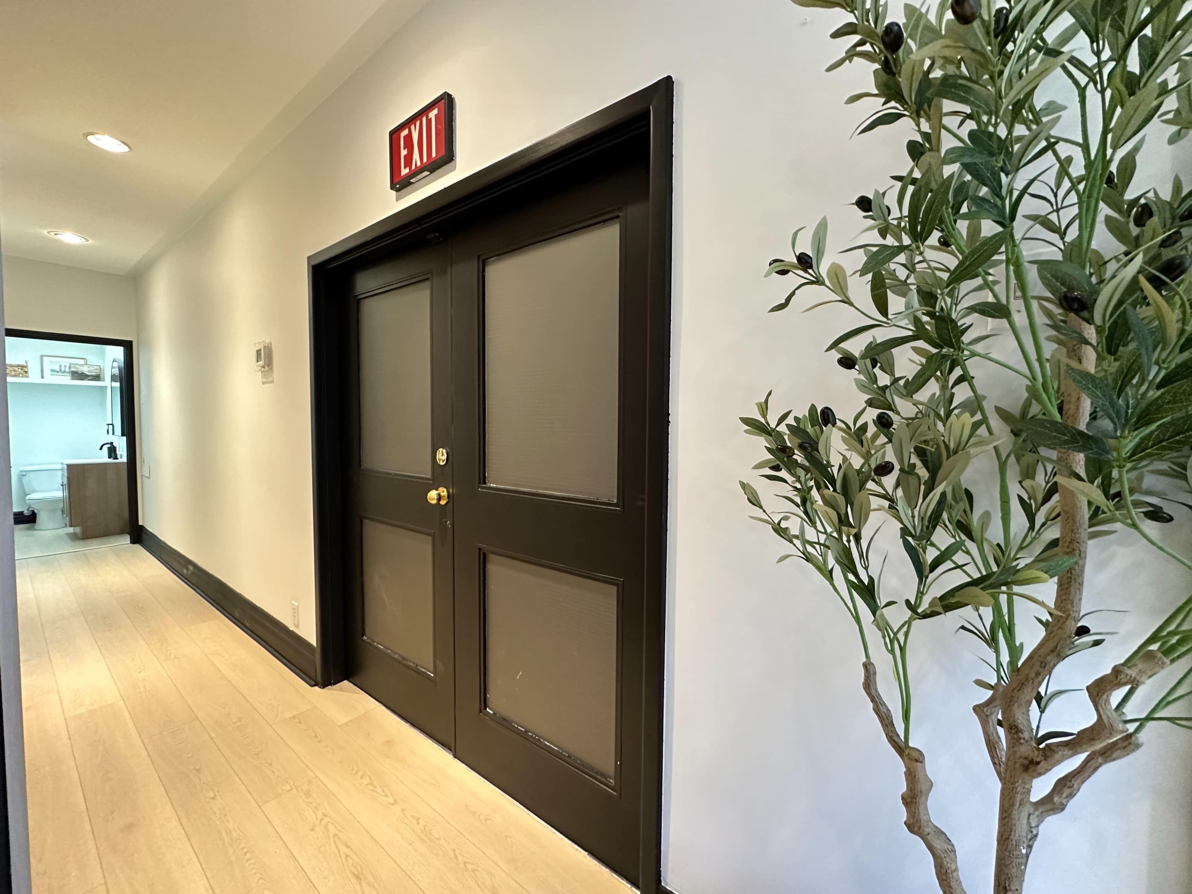A hallway with a pair of black doors at the end, an exit sign above, and a small indoor tree with olive-like leaves on the right.