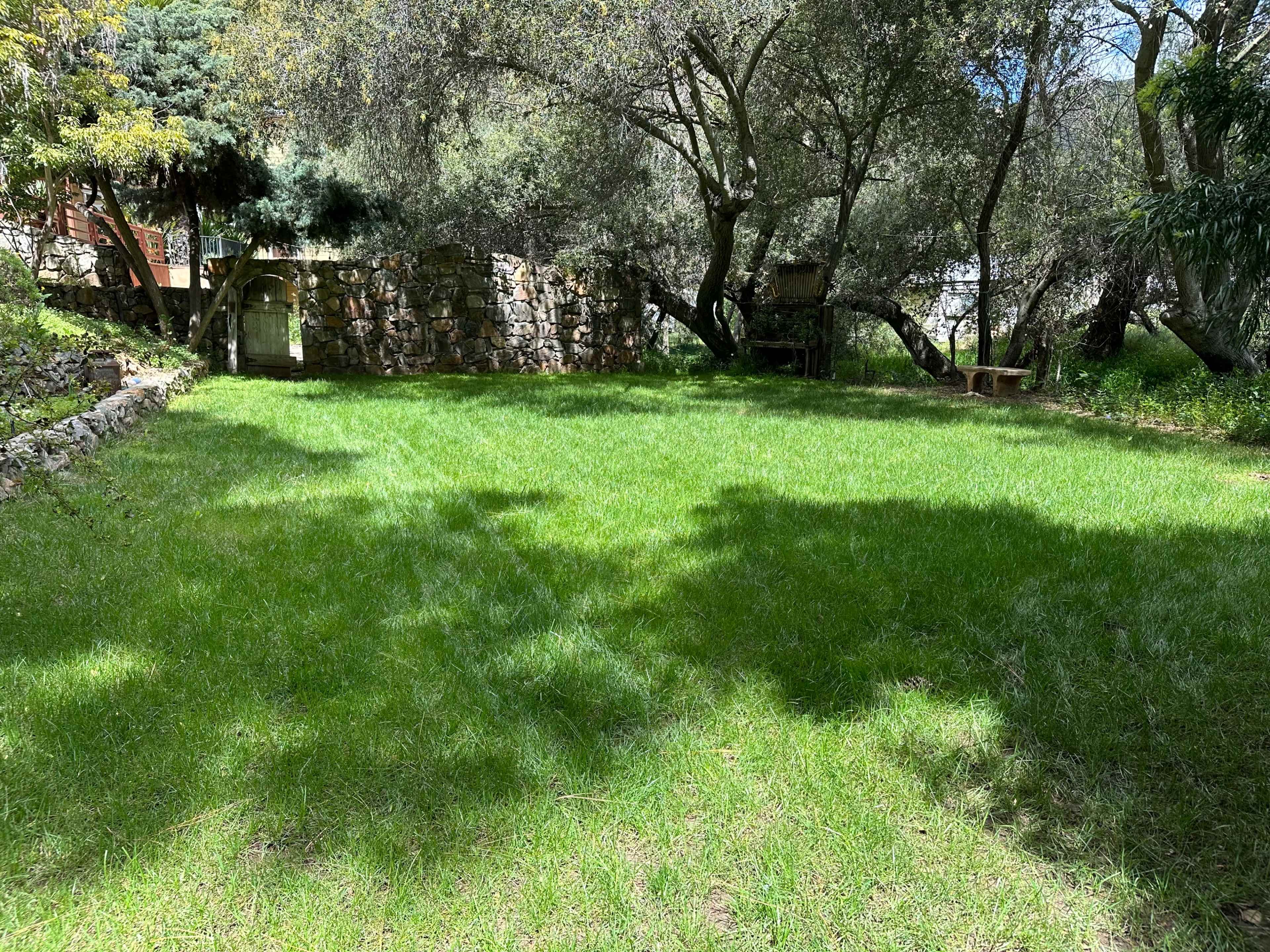 The image shows a grassy area surrounded by trees and a stone wall in the background.