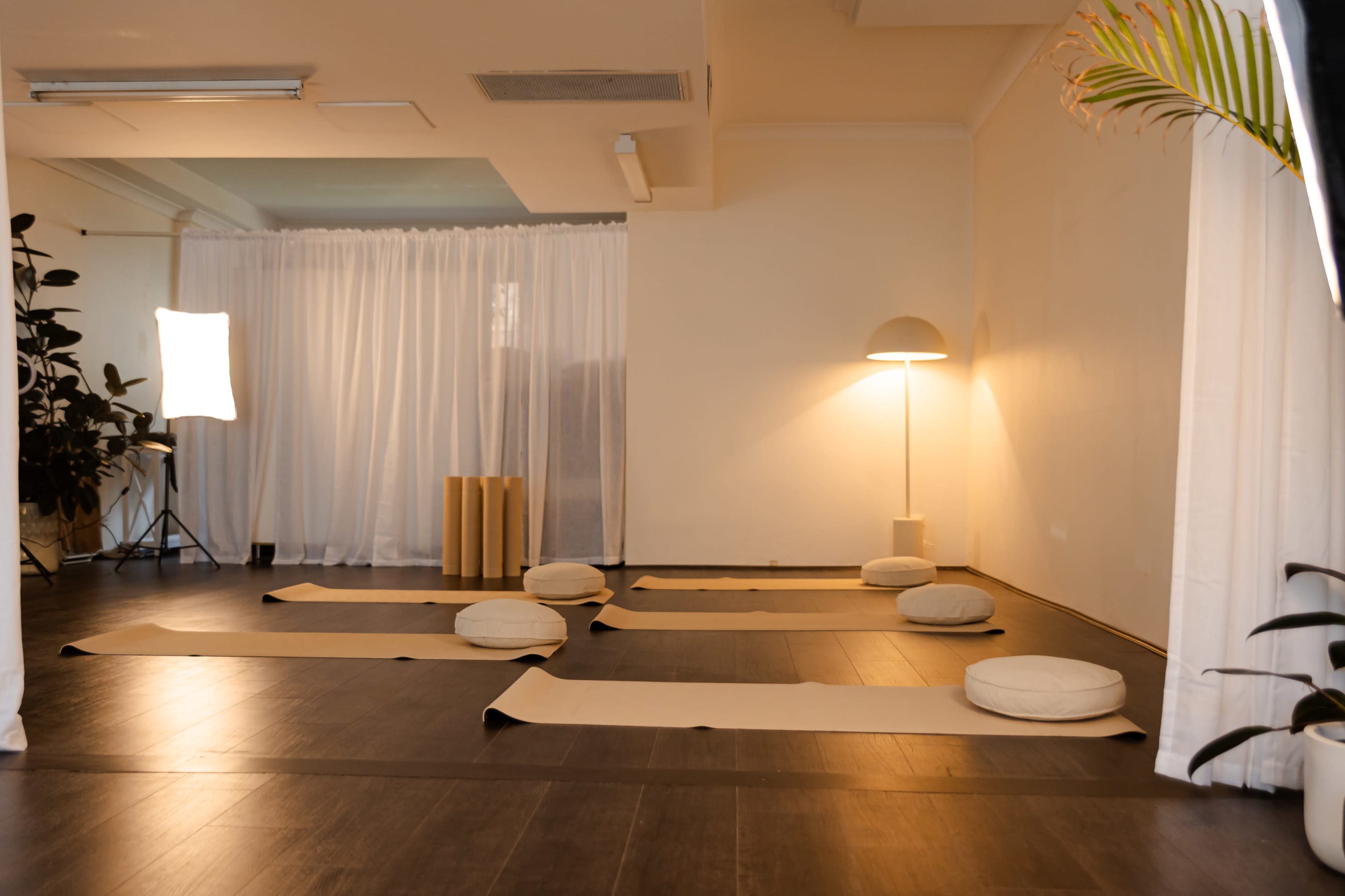 Urban Peaceful Studio Image in Surry Hills, Surry Hills, NSW