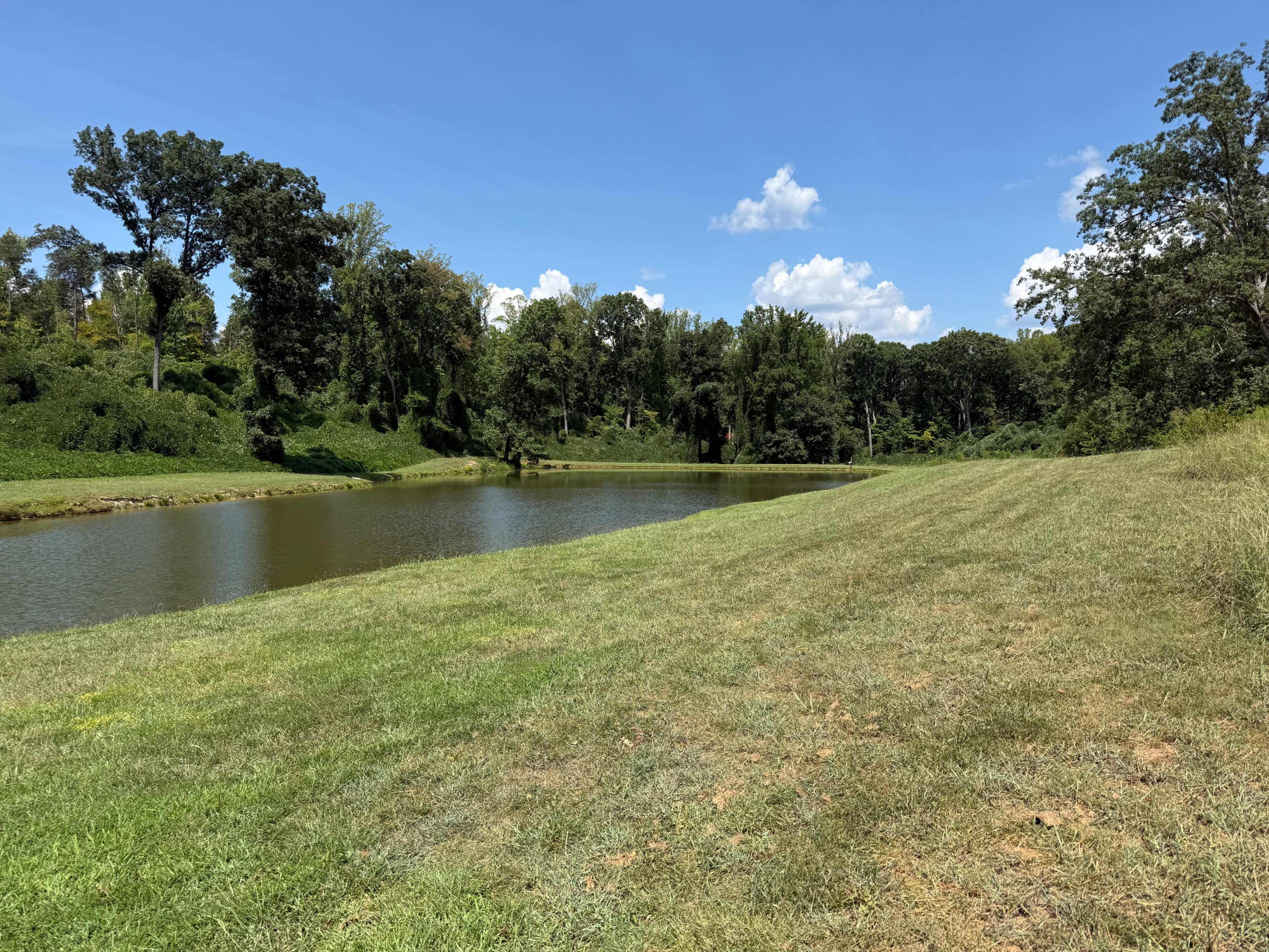 A calm pond is bordered by a grassy area and surrounded by trees under a clear blue sky.