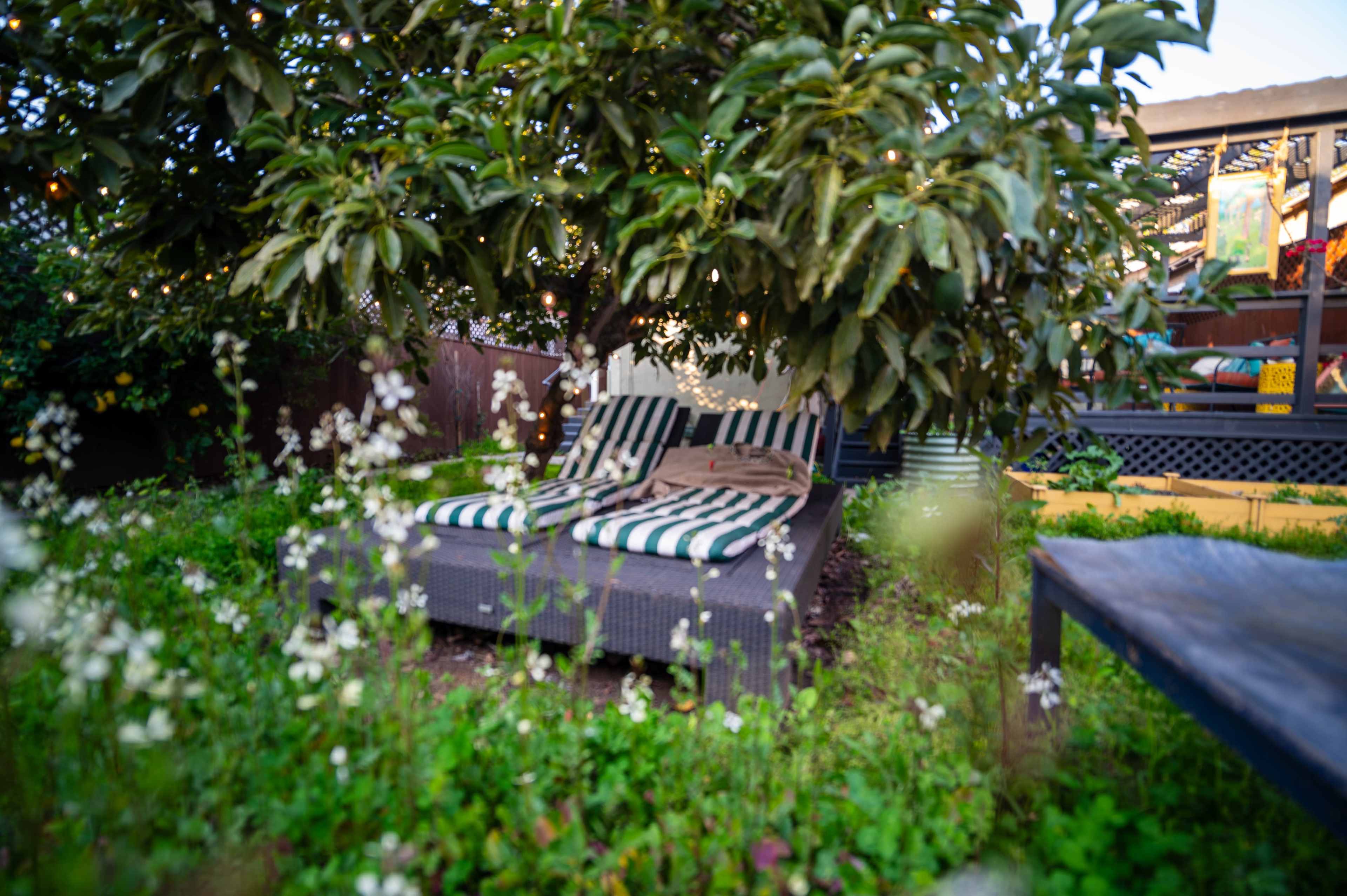 A pair of striped lounge chairs is positioned under a tree in a garden surrounded by greenery and small white flowers.