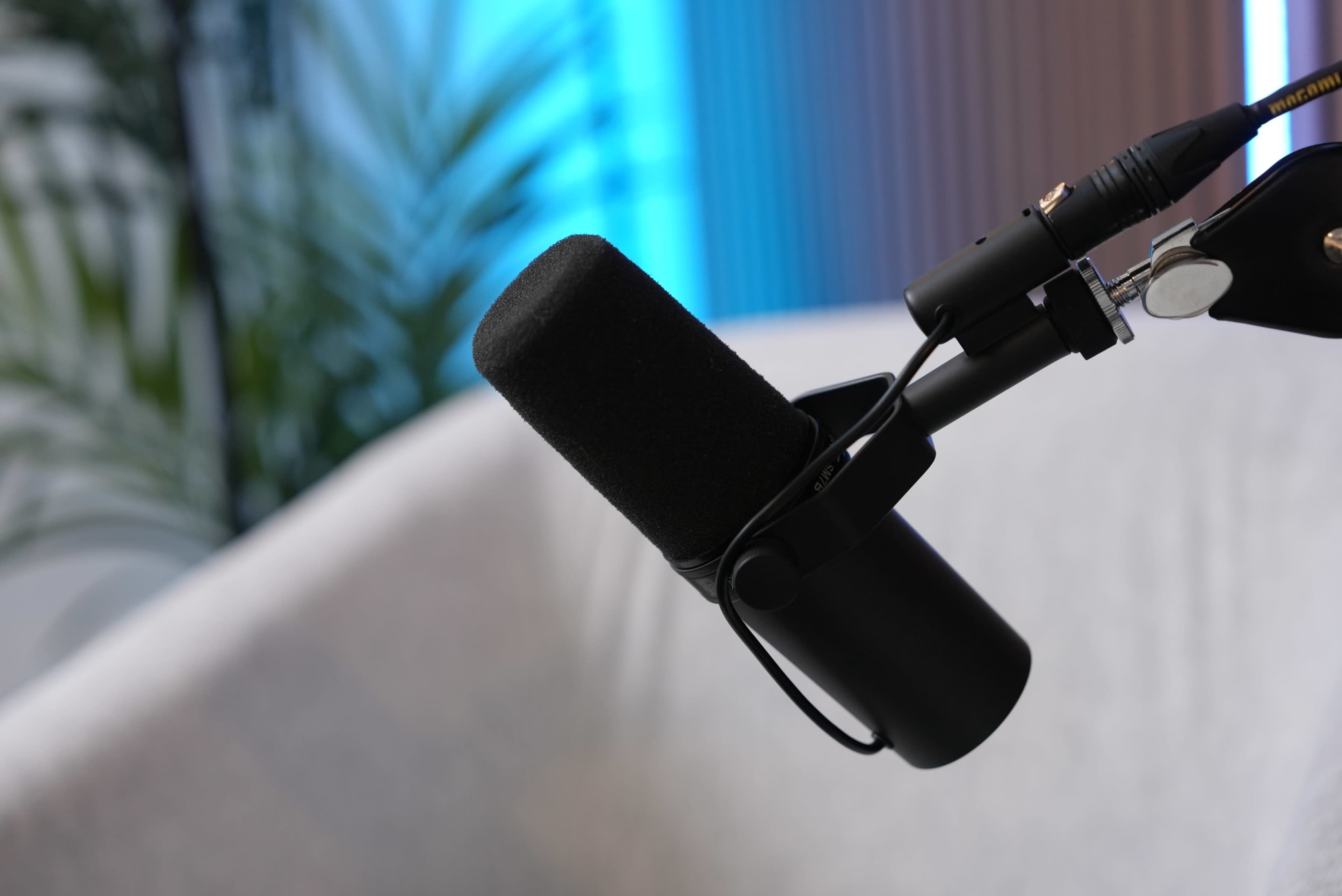 A black microphone is mounted on a boom arm, positioned in front of a blurred backdrop featuring a light blue and green setting.