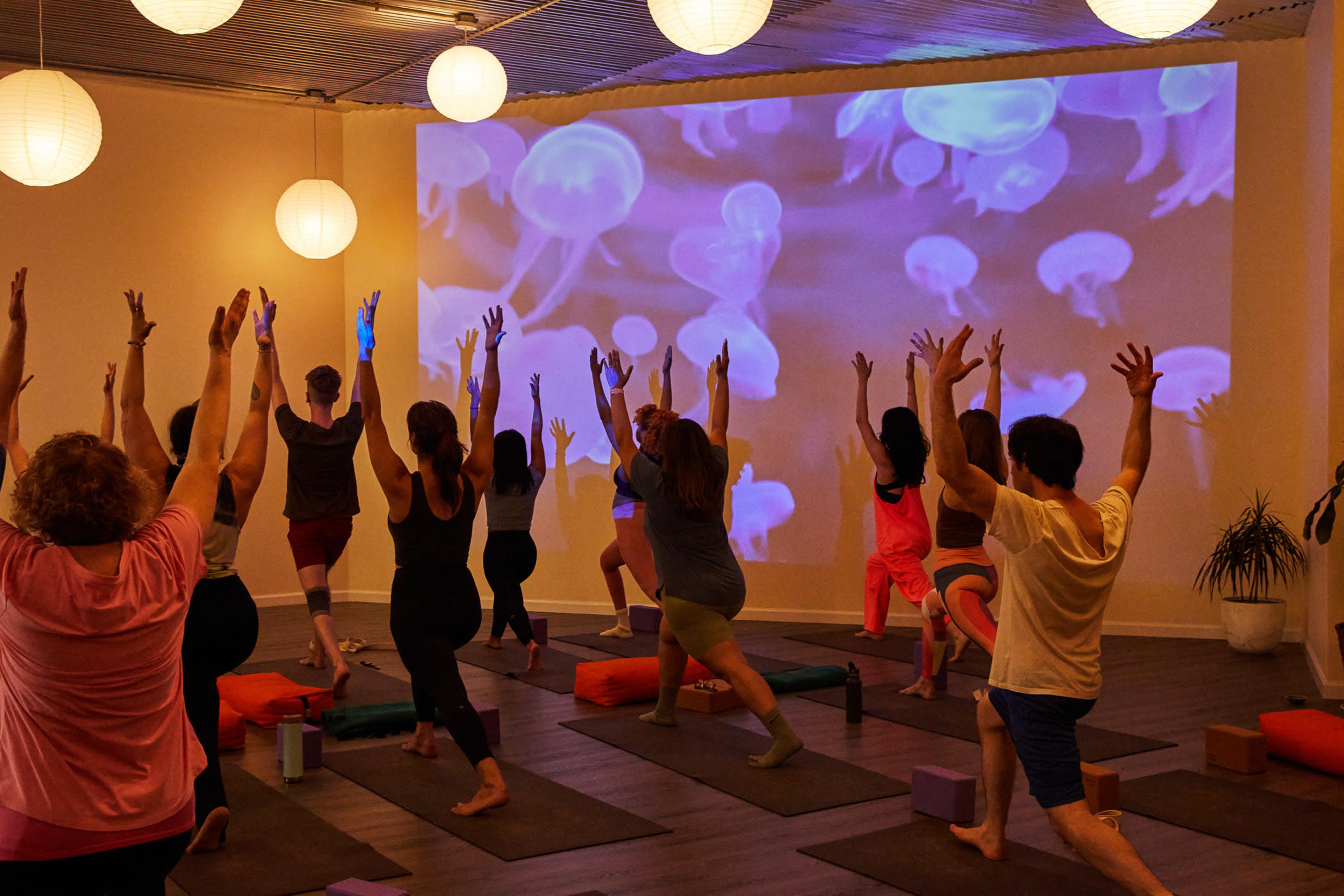 Open layout studio in Ridgewood Image in Ridgewood, Ridgewood, NY