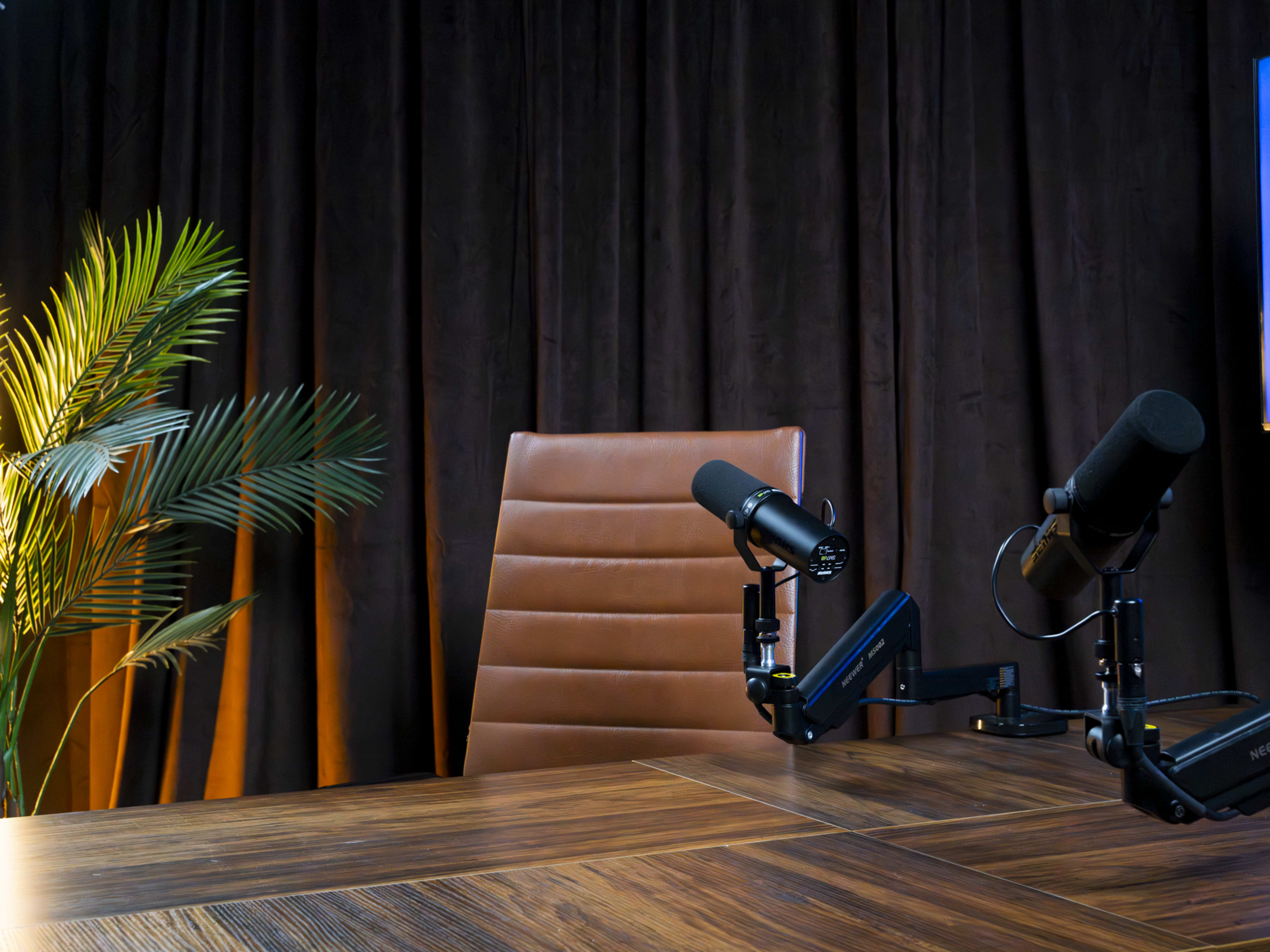 The image shows a brown leather chair positioned next to two microphones on a wooden table, with a dark curtain and a potted plant in the background.