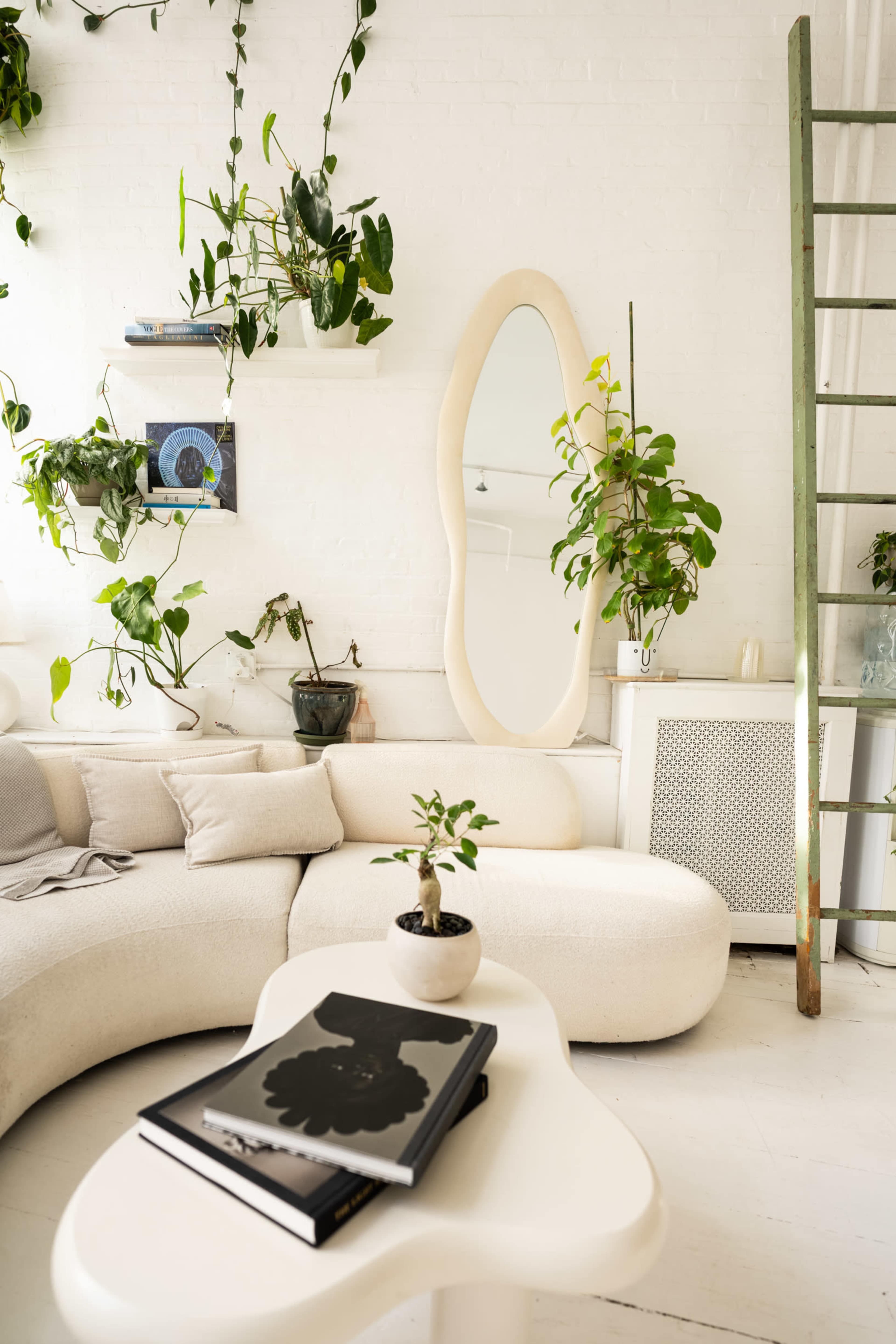 The image shows a bright, modern living room featuring a curved sofa, a tall green ladder, a wall-mounted mirror, and several indoor plants.