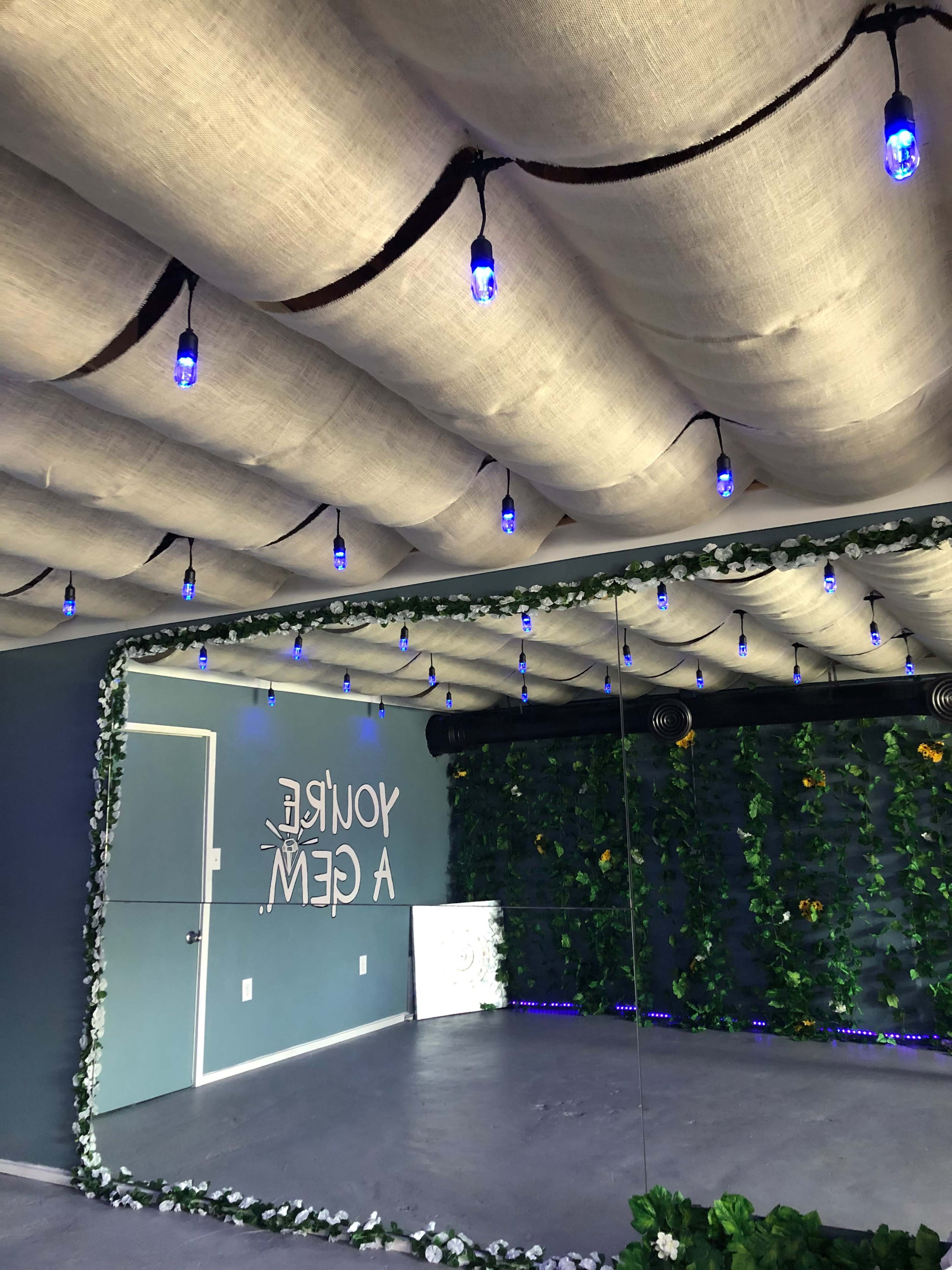 A room with a mirrored wall, decorated with blue lights and greenery along the walls.