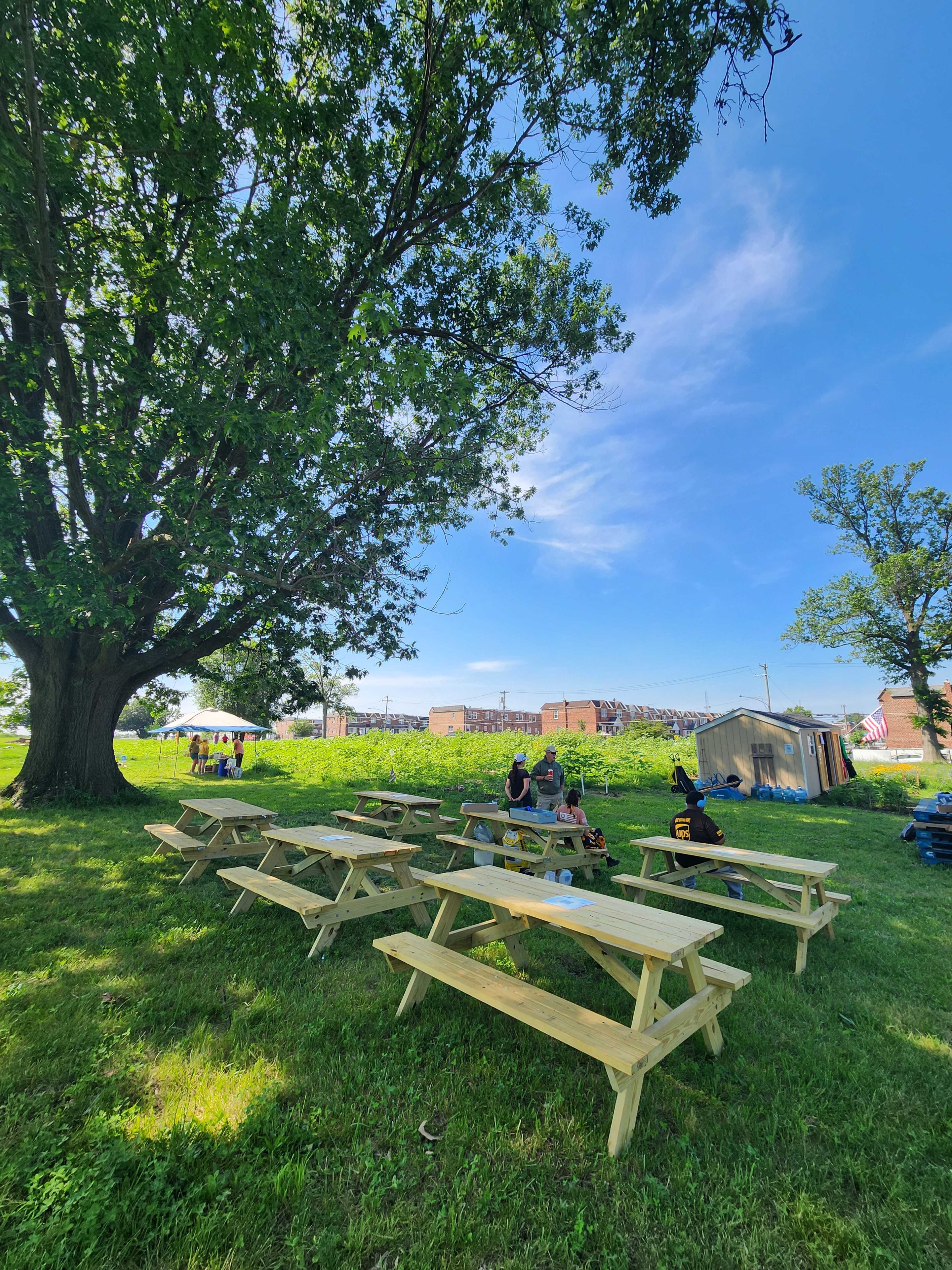 A group of people sits at wooden picnic tables under a large tree on a grassy area, with a clear blue sky and buildings in the background.