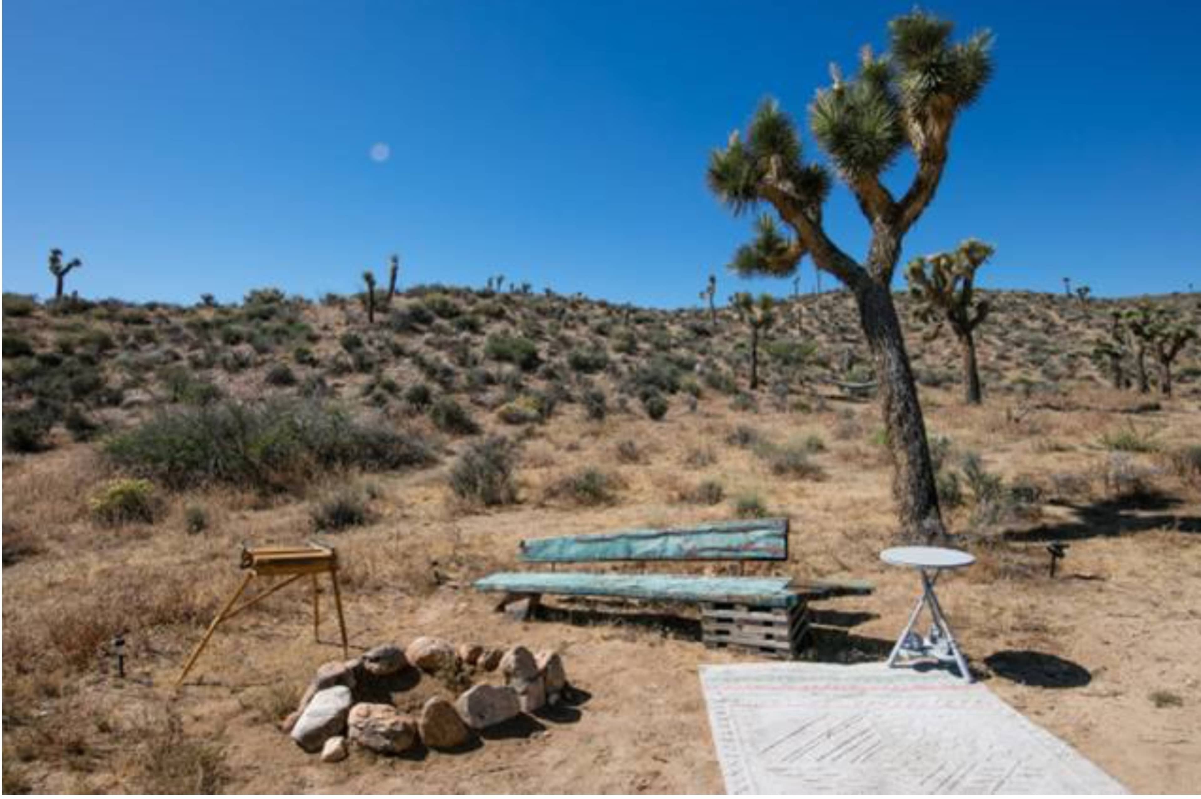 The scene depicts a desert landscape with a few Joshua trees, a stone fire pit, a wooden bench made from pallets, and a small round table.