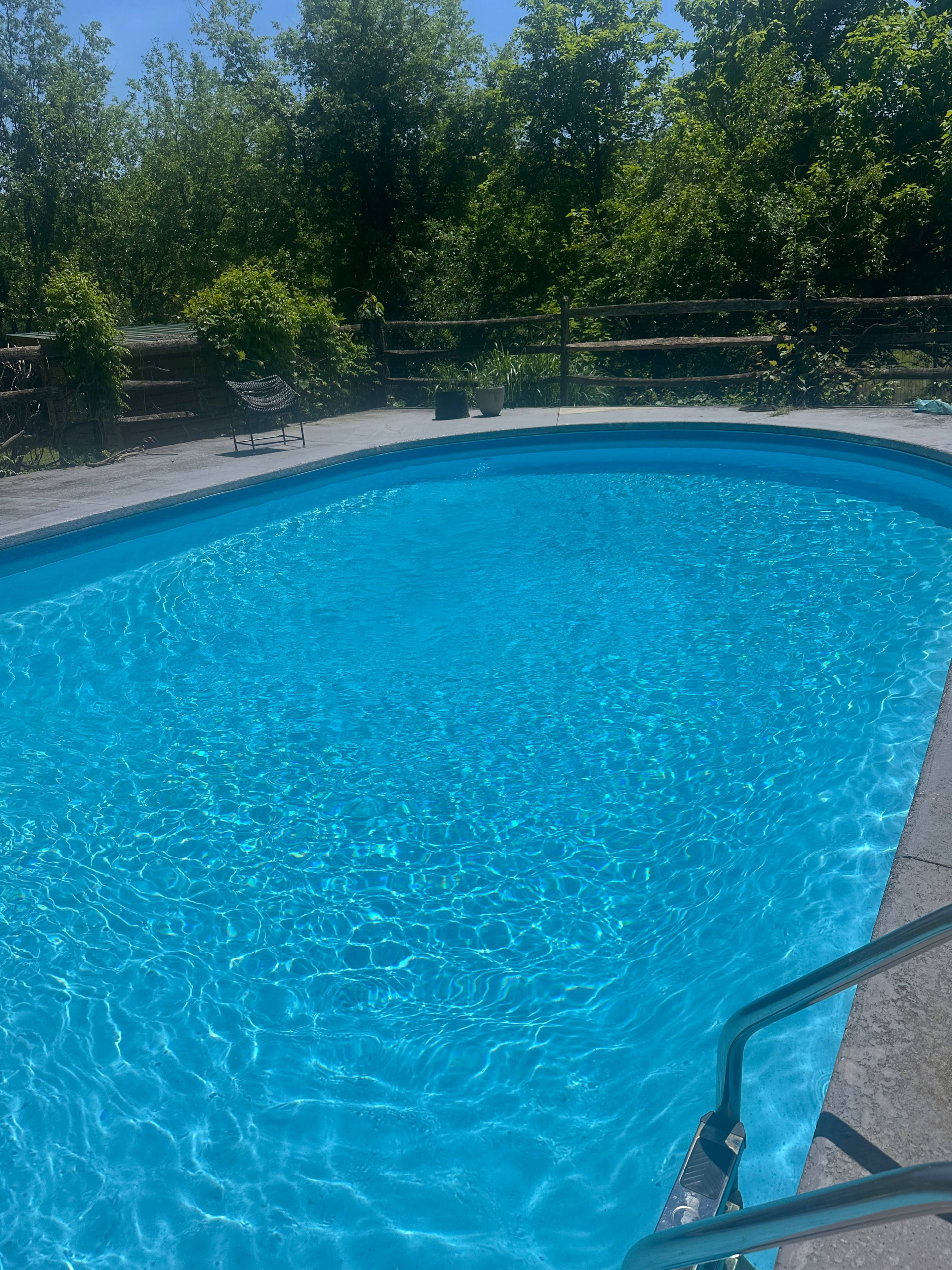 A clear, blue swimming pool is surrounded by lush greenery and a wooden fence.