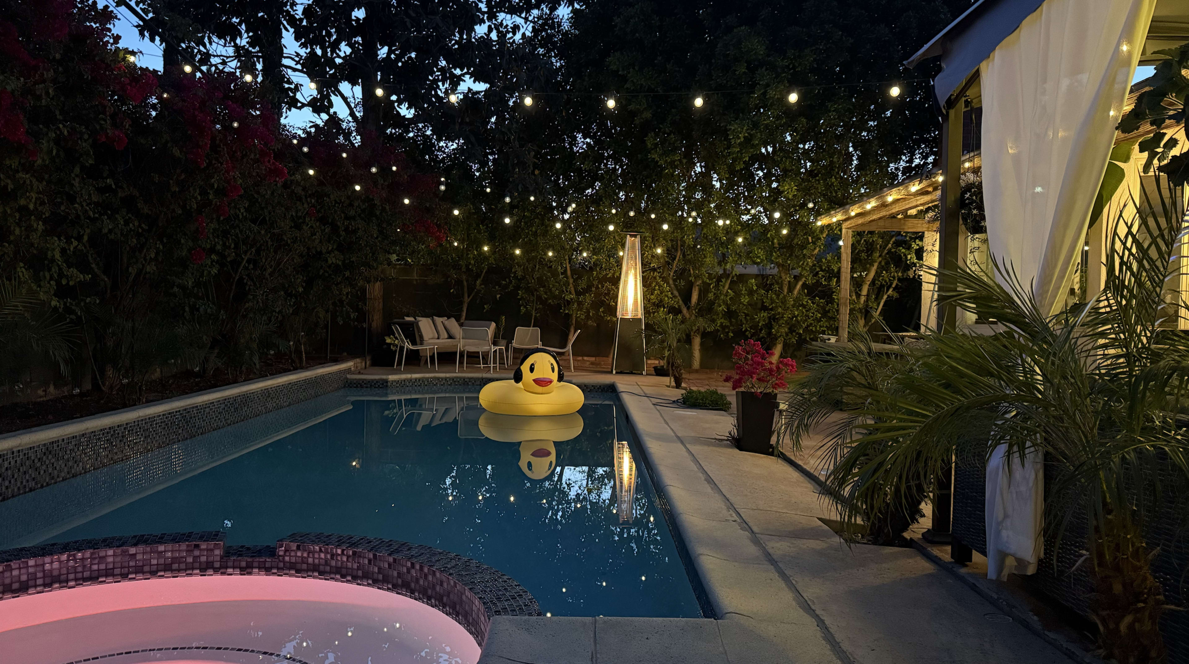 Gated Hidden Paradise Pool Image in Canoga Park, Canoga park, CA