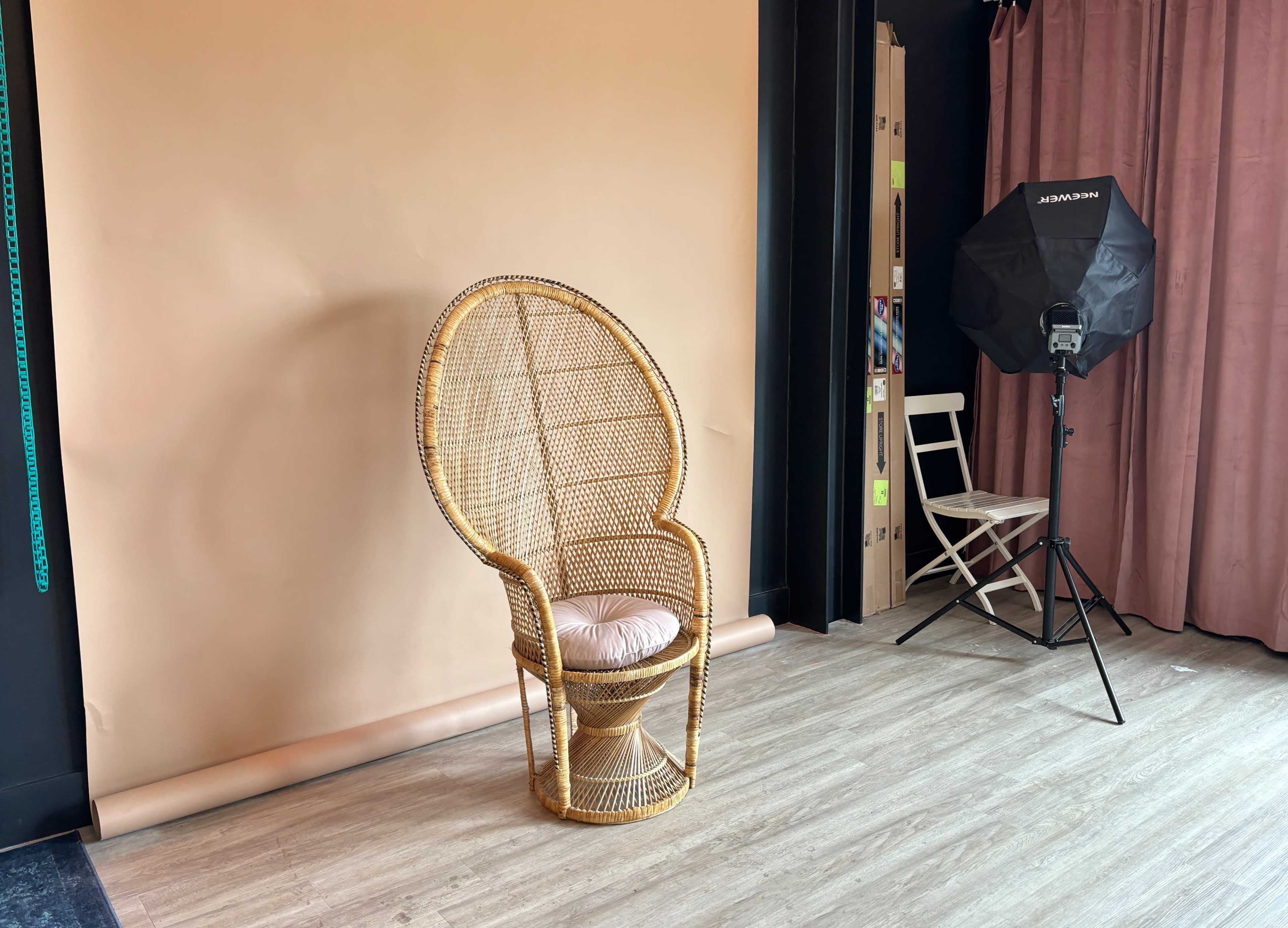 Multi-Set Photo Studio - Vintage Neon Night Garden Image in Highland Park, Calgary, AB