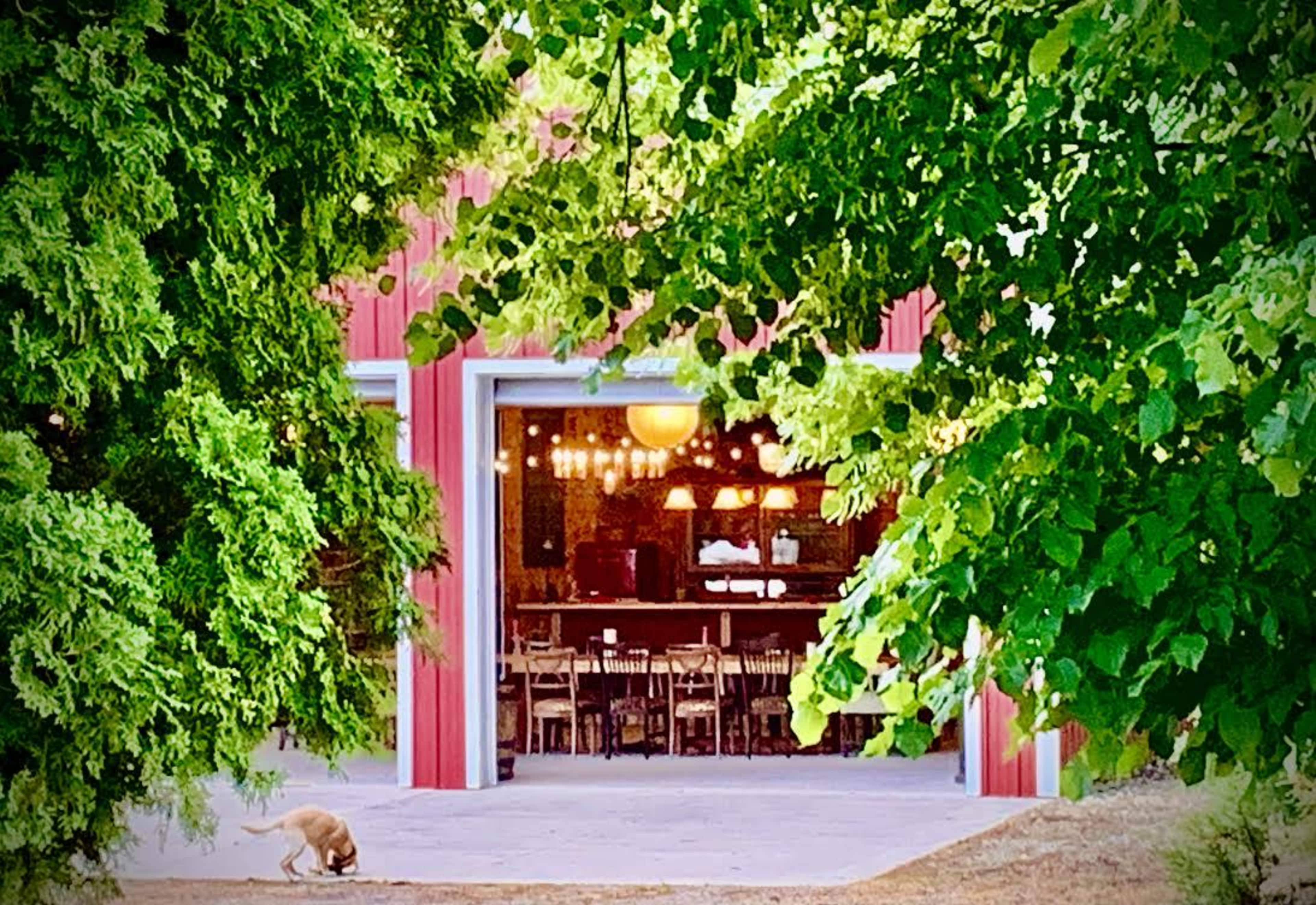 A red barn-style building with large open doors reveals a dining area inside, framed by green trees and a dog on the ground outside.